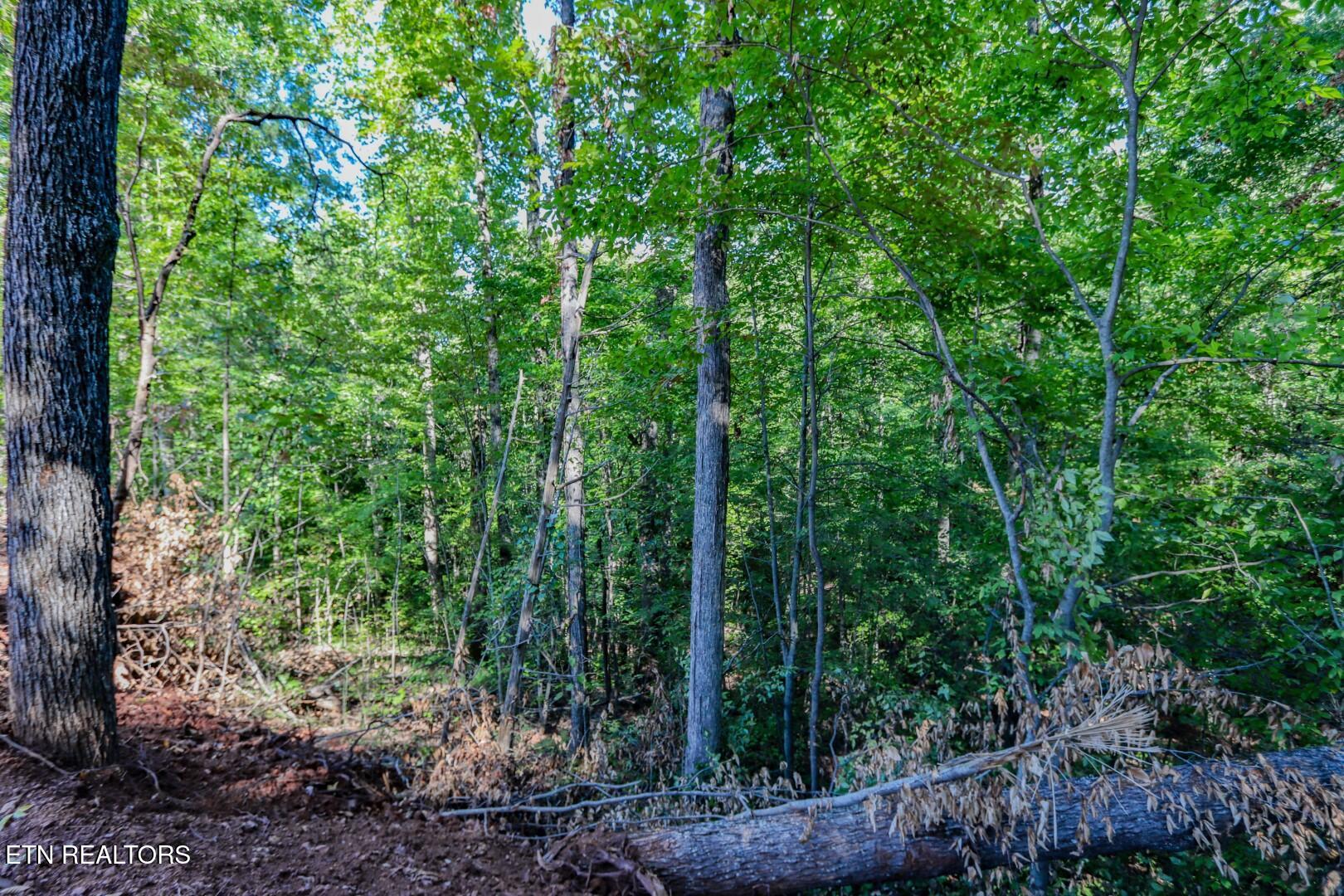 1282 Applewood Road Newport, TN 37821 - Photo 15 of 19 16