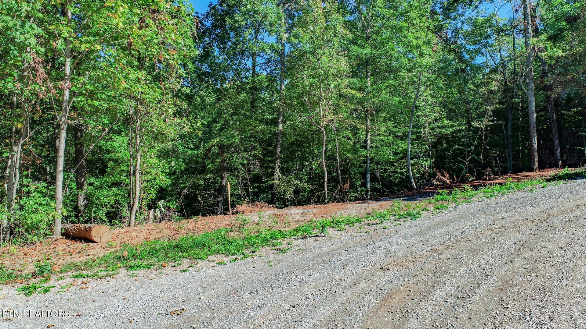 1282 Applewood Road Newport, TN 37821 - Photo 16 of 19 17