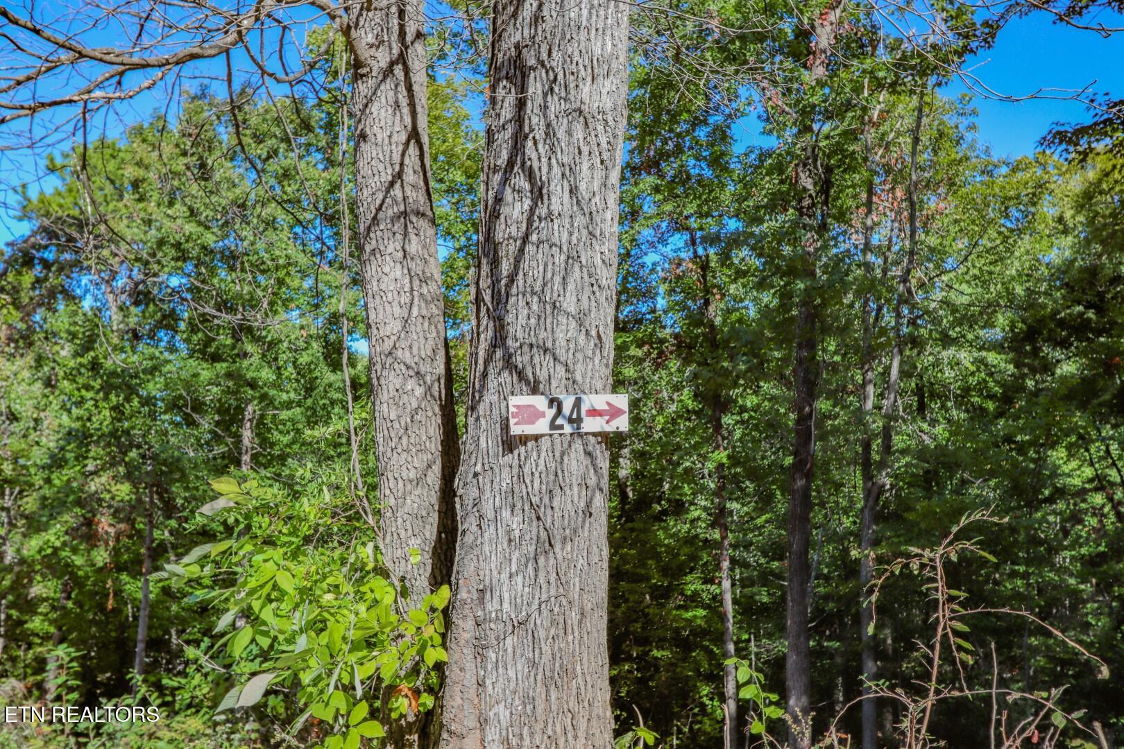 1282 Applewood Road Newport, TN 37821 - Photo 17 of 19 18