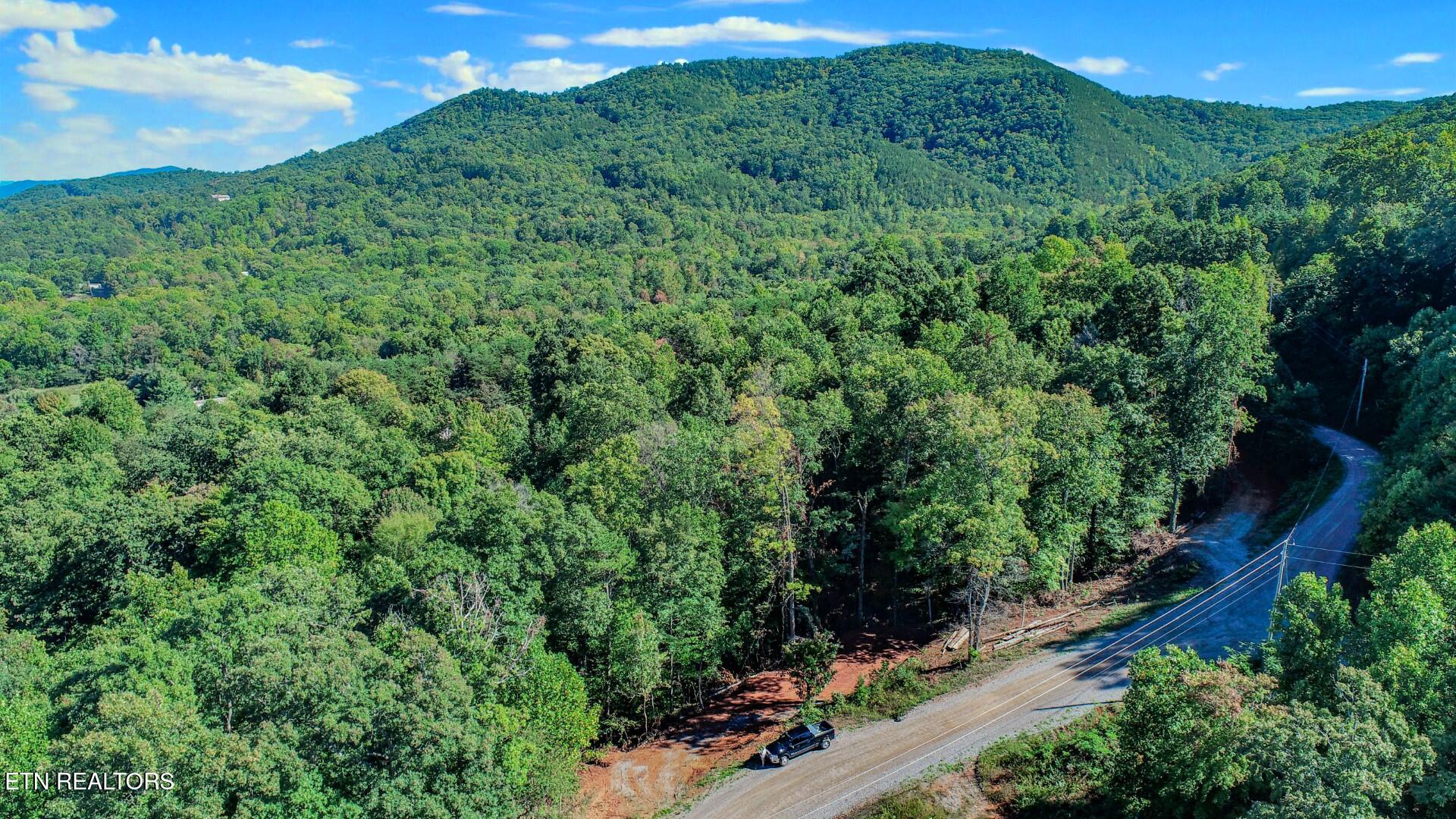 1282 Applewood Road Newport, TN 37821 - Photo 3 of 19 3