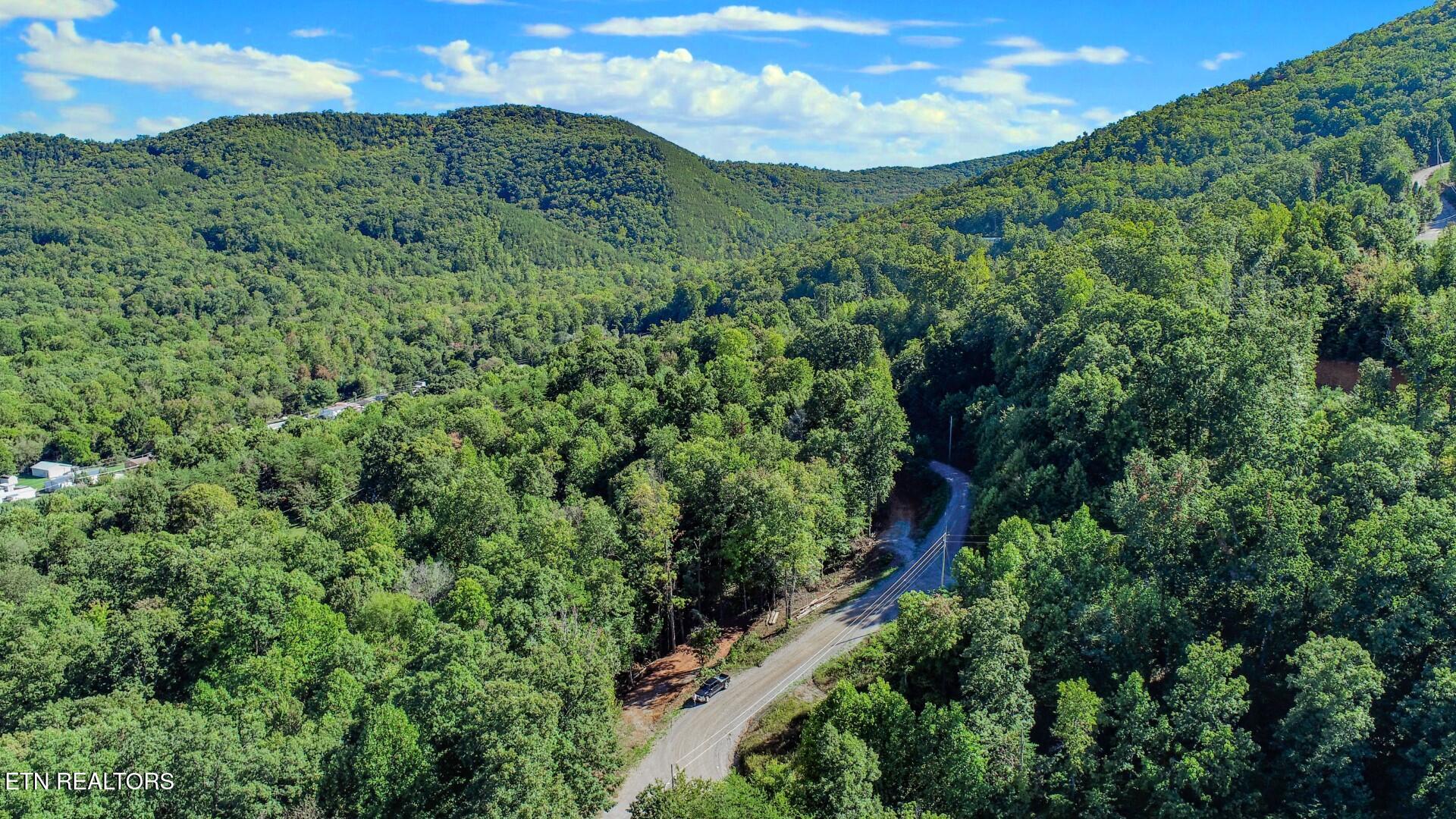 1282 Applewood Road Newport, TN 37821 - Photo 4 of 19 4