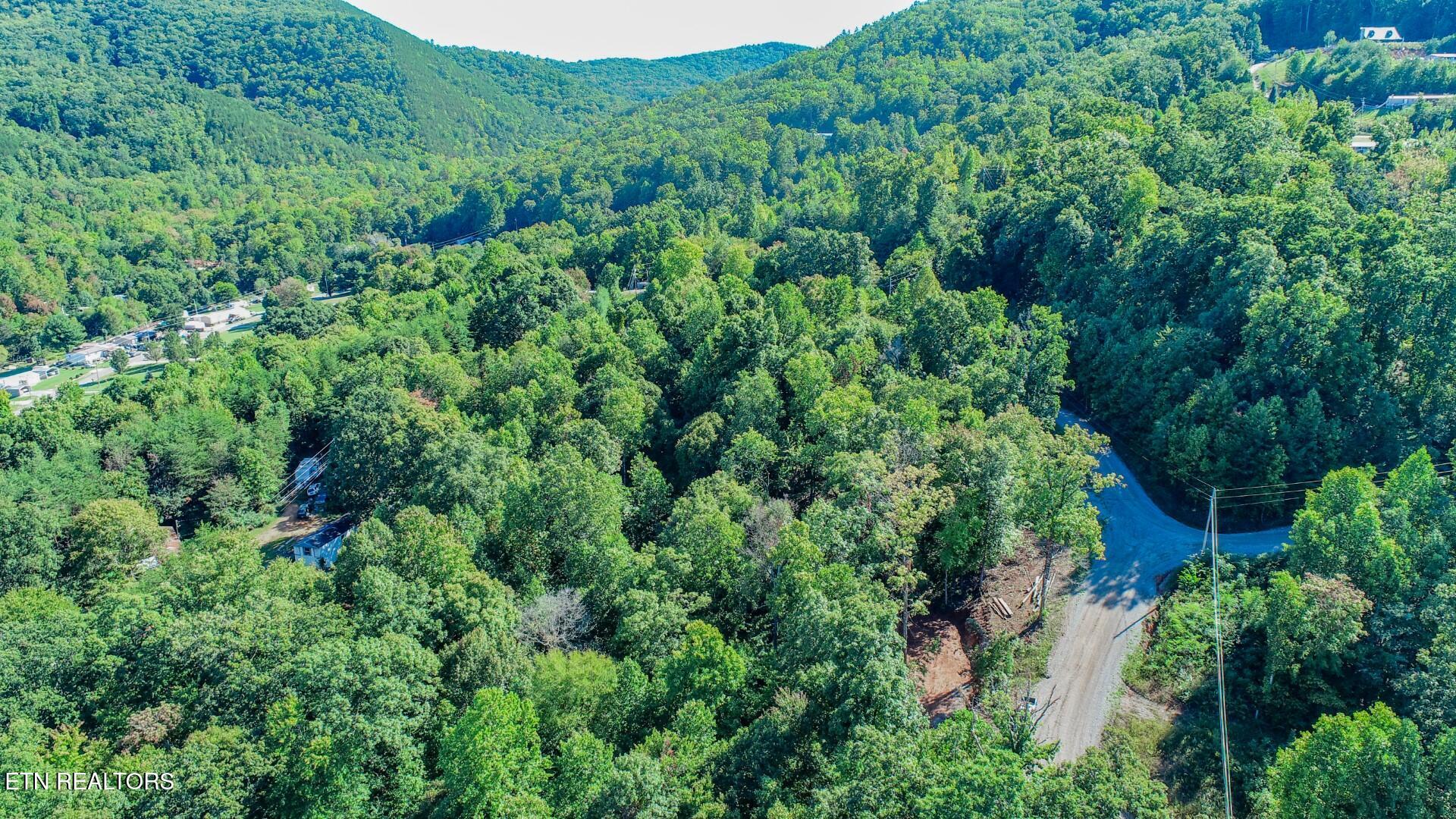 1282 Applewood Road Newport, TN 37821 - Photo 5 of 19 5 (Large)