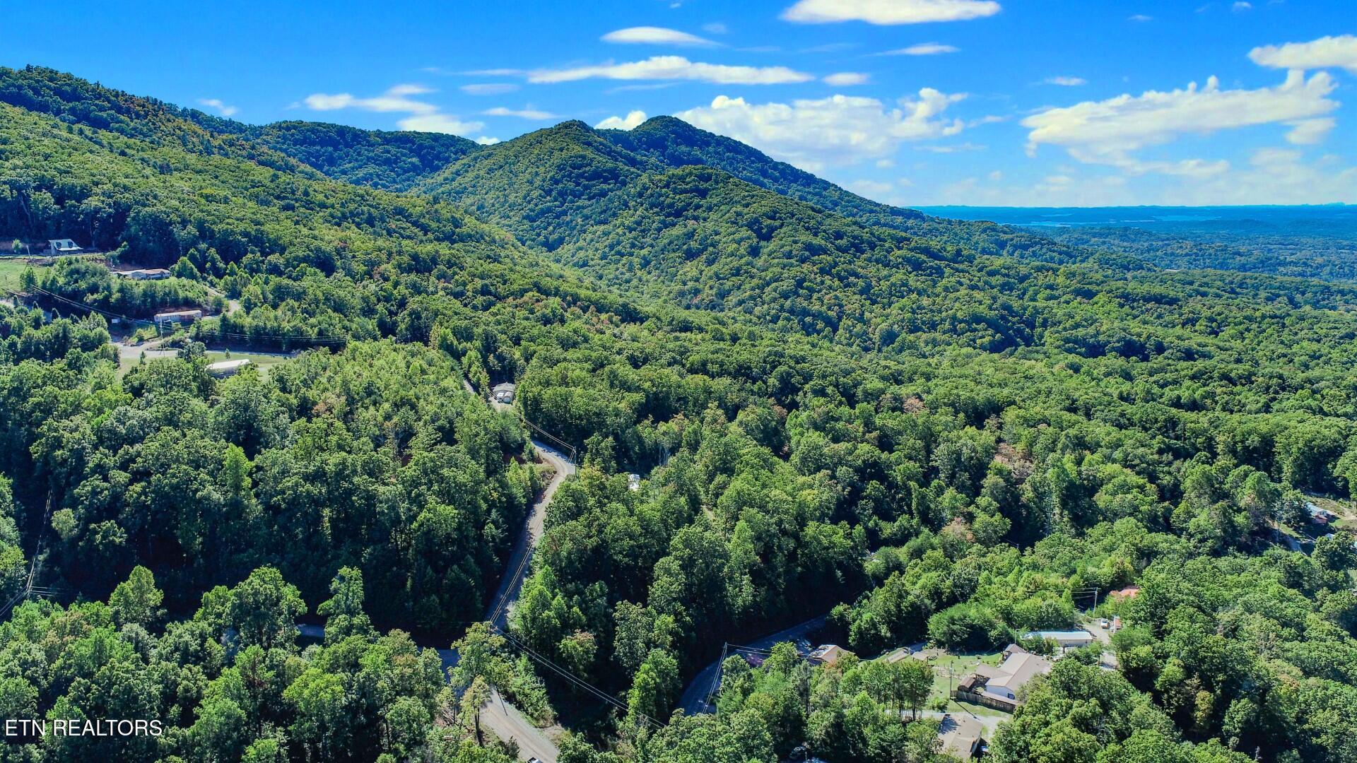 1282 Applewood Road Newport, TN 37821 - Photo 6 of 19 6