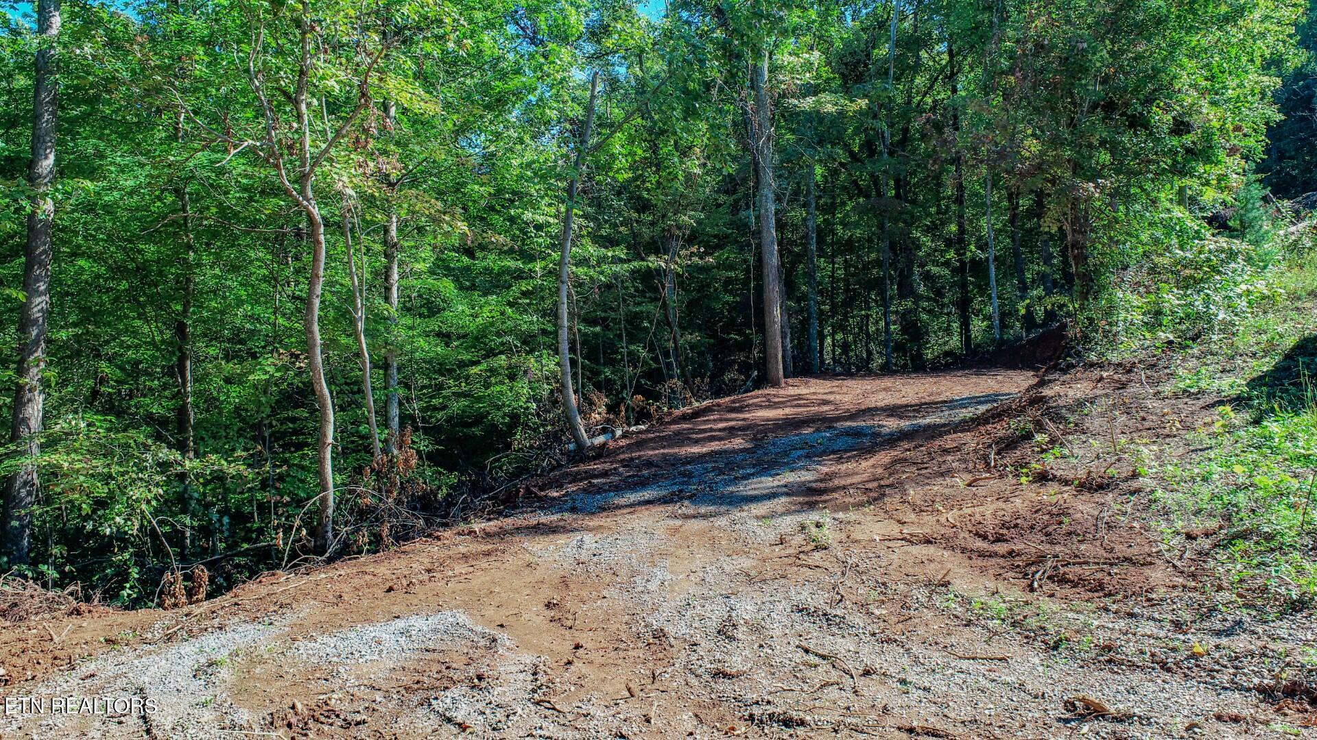 1282 Applewood Road Newport, TN 37821 - Photo 8 of 19 8