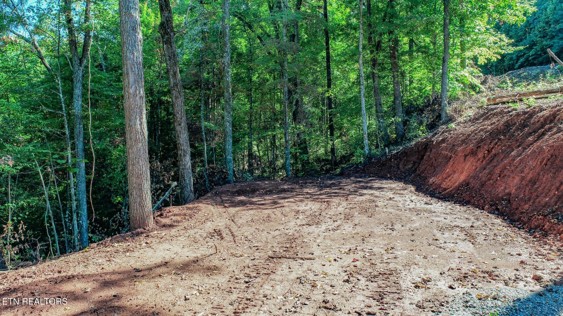 1282 Applewood Road Newport, TN 37821 - Photo 9 of 19 9