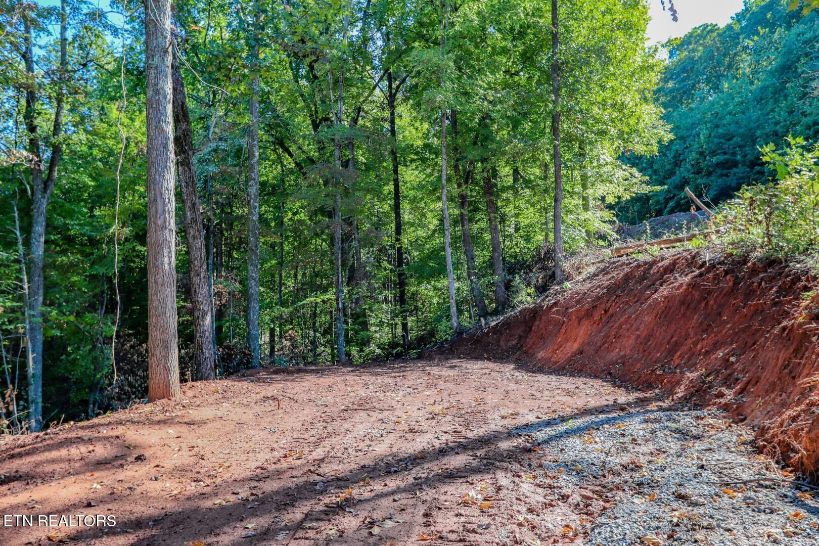 1282 Applewood Road Newport, TN 37821 - Photo 10 of 19 10