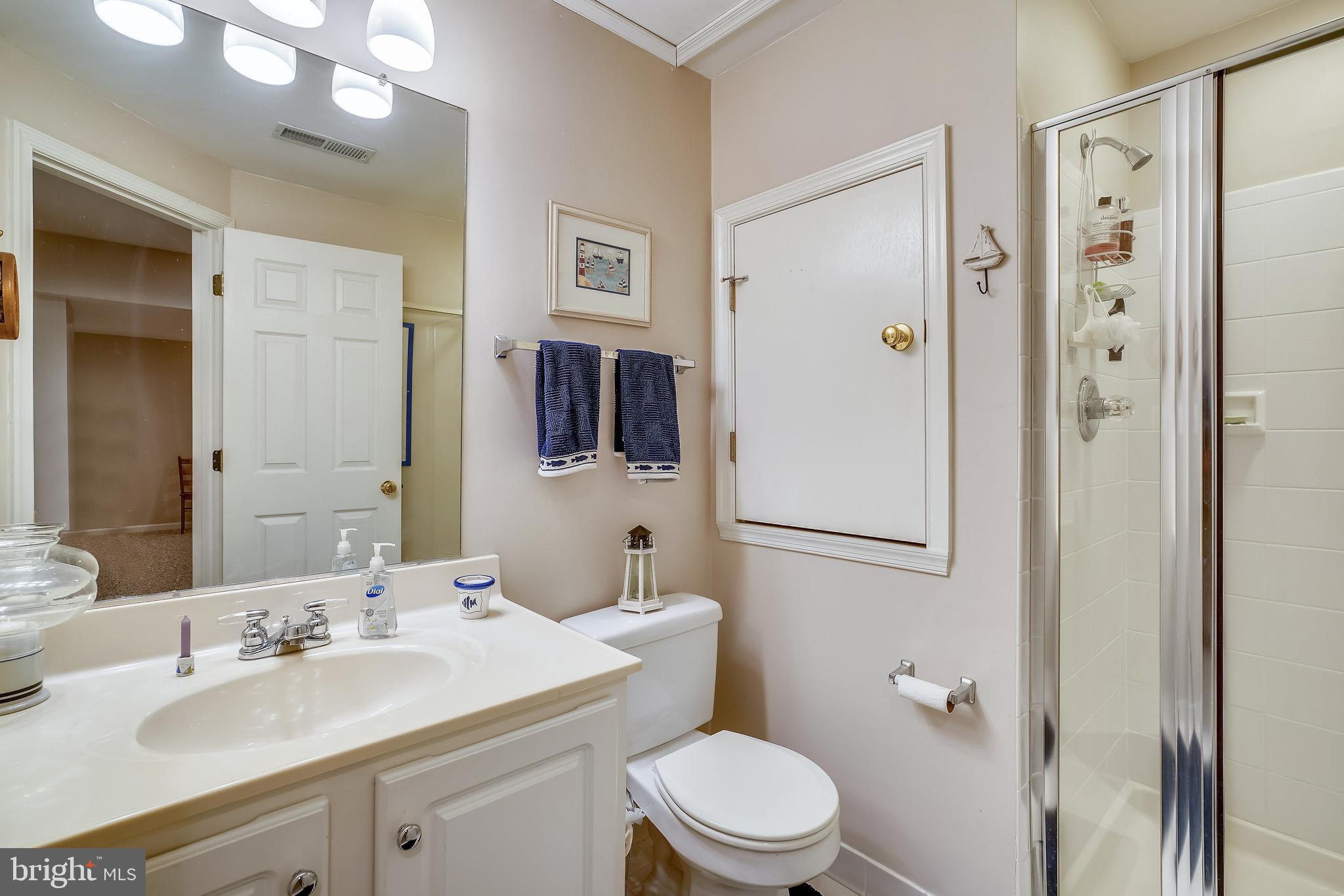 2320 Ridge Tree Court Ellicott City, MD 21042 - Photo 33 of 37 Lower Level full bath with storage
