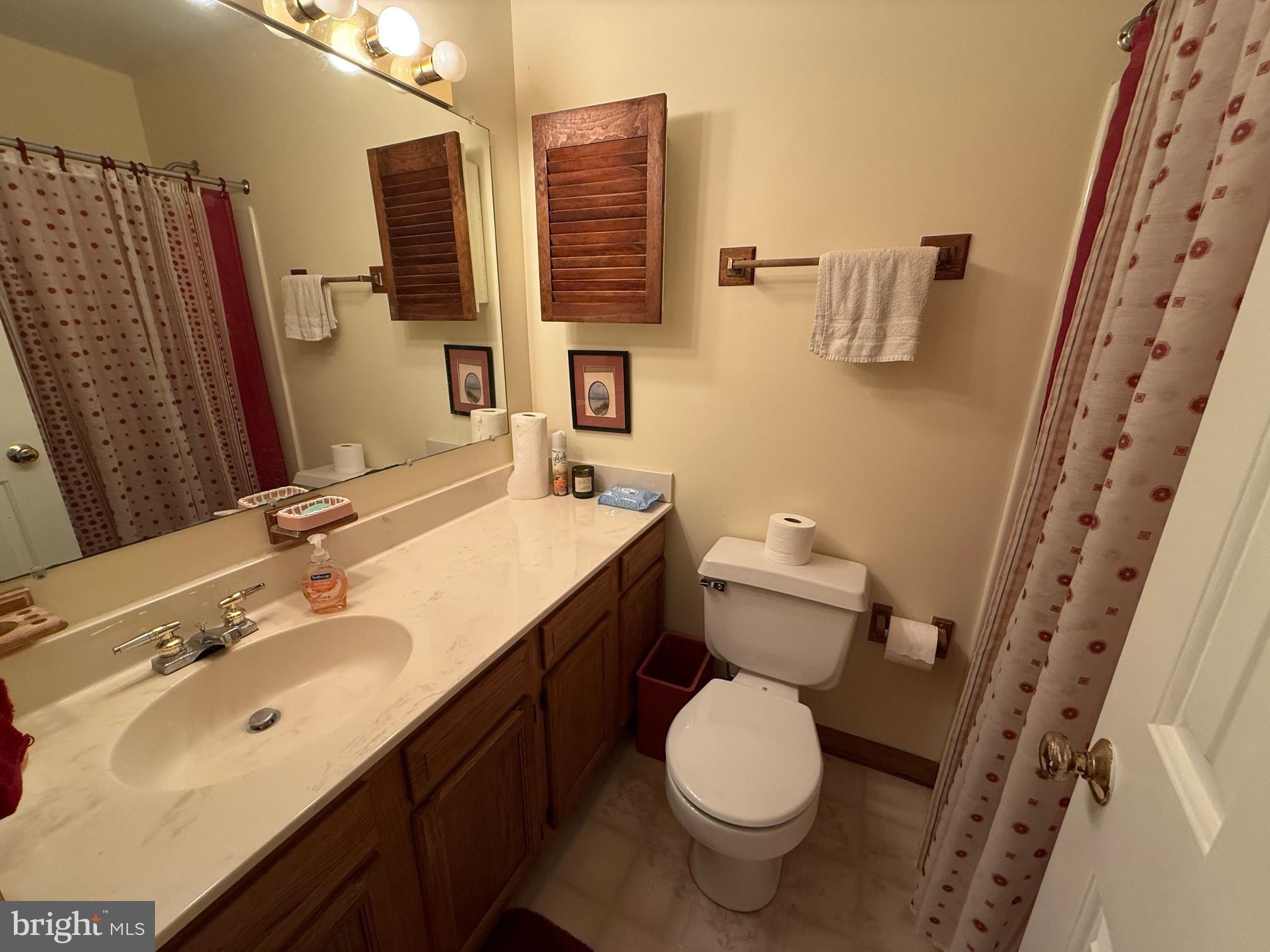 7206 Old Dickersons Road Orange, VA 22960 - Photo 19 of 32 a bathroom with a sink toilet and shower