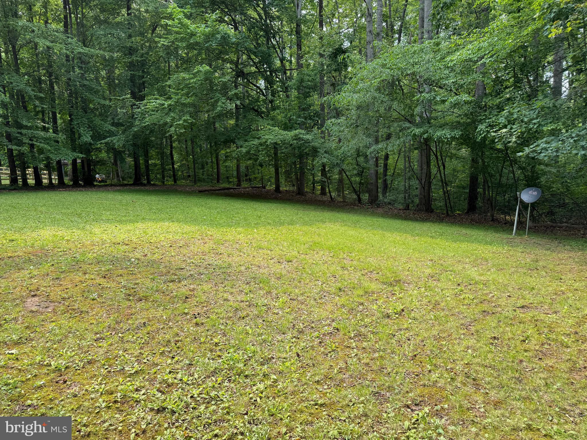 7206 Old Dickersons Road Orange, VA 22960 - Photo 3 of 32 a view of a yard with a house