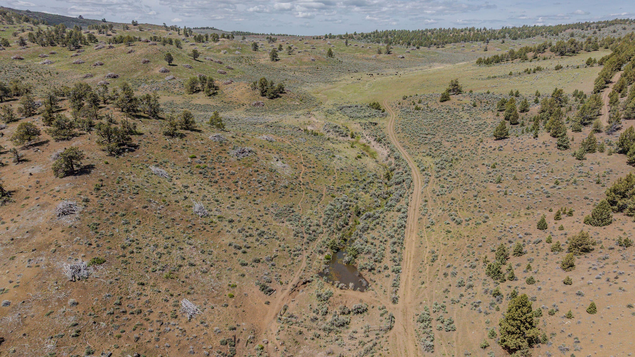 41225 Van Lake Road Prineville, OR 97754 - Photo 121 of 181 DJI_20260430123349_0175_D-HDR
