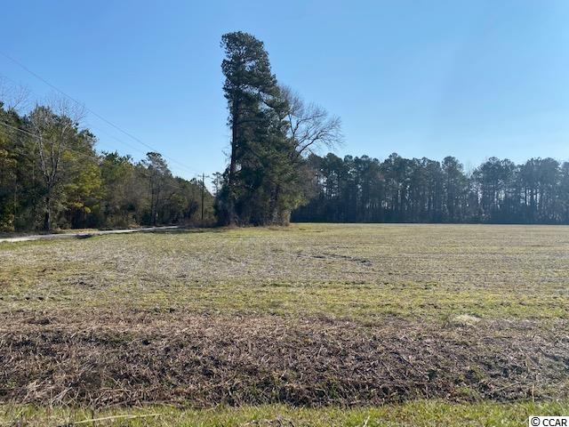 4.5-acres Grainger Road Nichols, SC 29581 - Photo 3 of 3 Gallery Image 3
