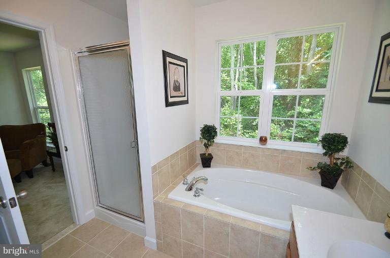 1341 East West Shady Side Road Shady Side, MD 20764 - Photo 13 of 16 Bath (Master)