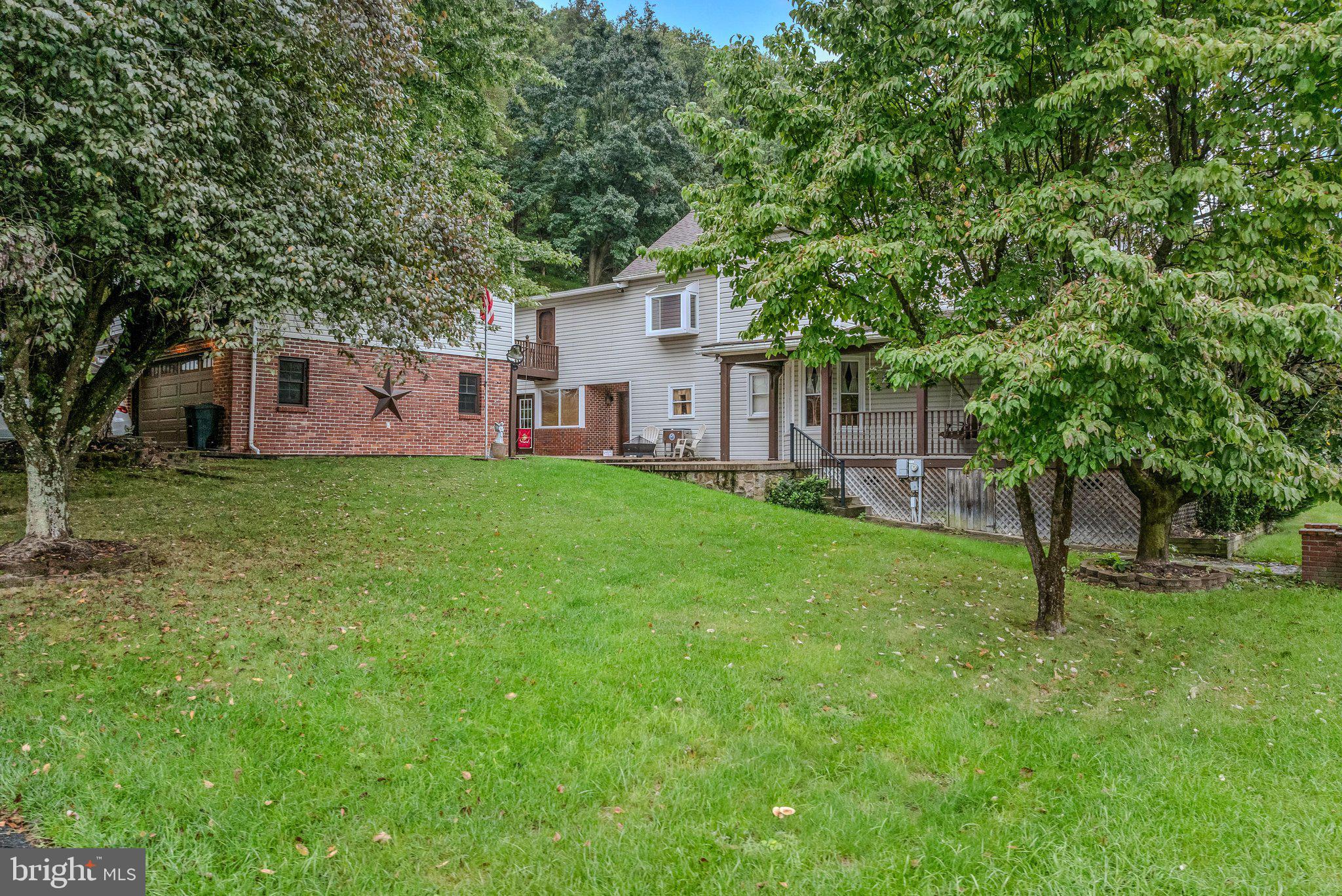 160 Main Street Ridgeley, WV 26753 - Photo 54 of 68 Backyard