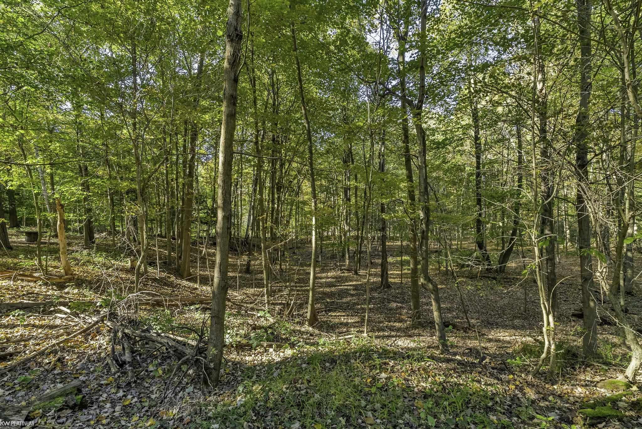 6275 Burns Line Road Croswell, MI 48422 - Photo 59 of 62
