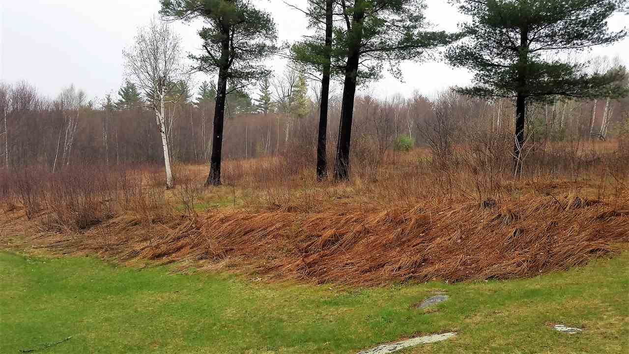 1 Merriam Road Walpole, NH 03608 - Photo 22 of 31
