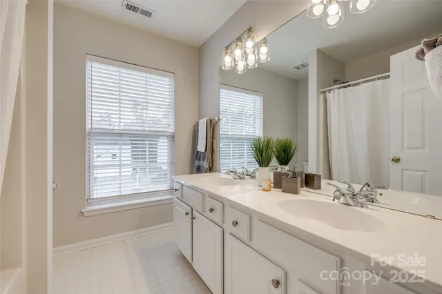 a view of a house with a big yard potted plants and large tree