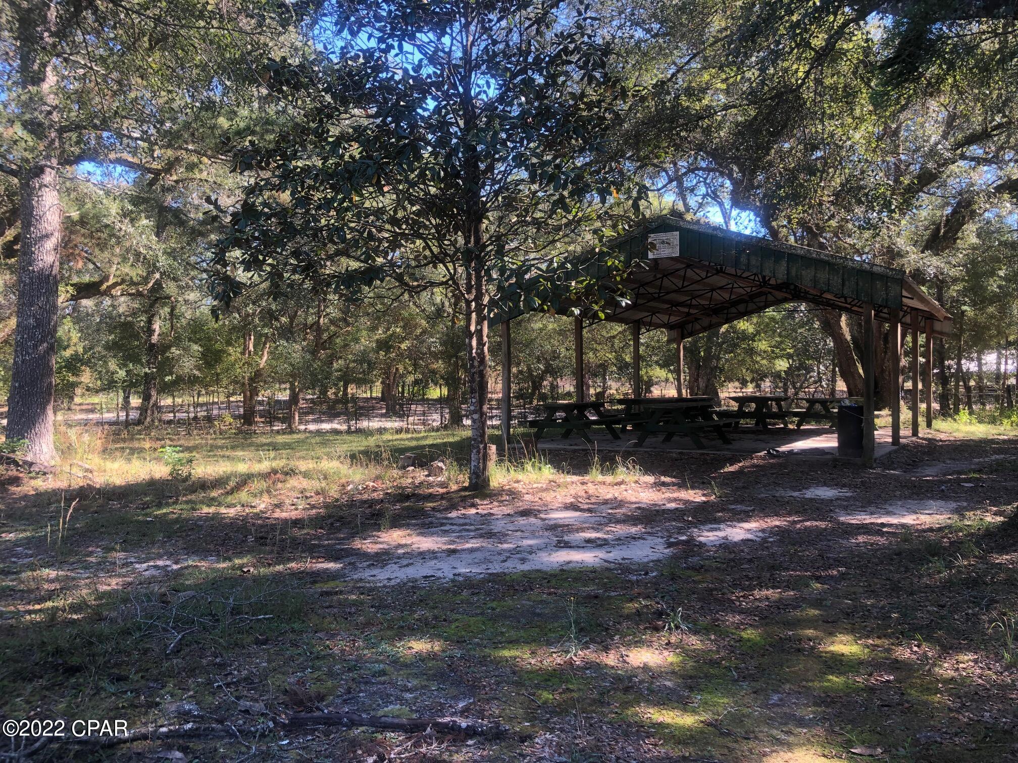 0 Choctaw Road Vernon, FL 32462 - Photo 3 of 9