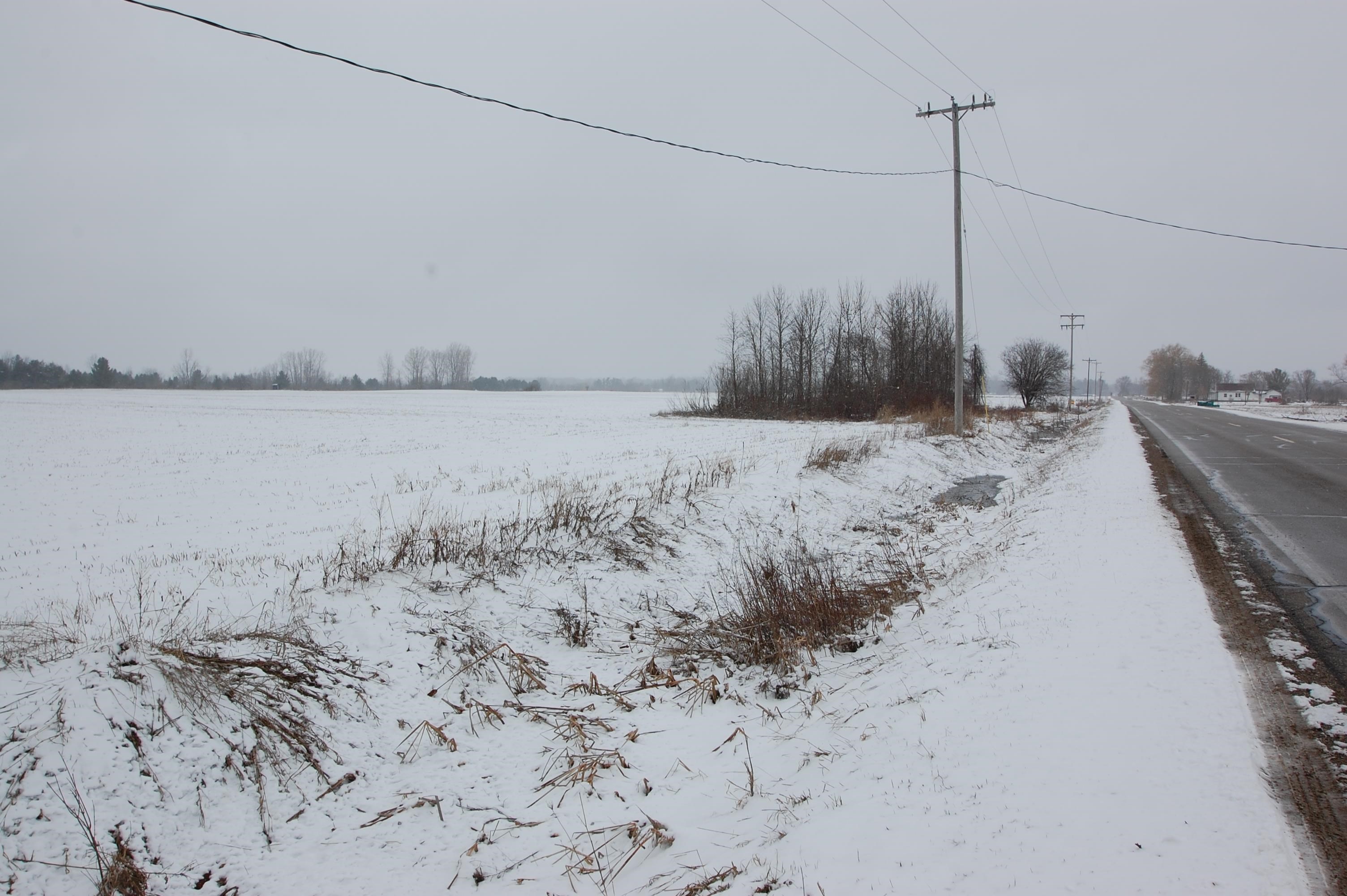 0 Sage Lake Road Prescott, MI 48756 - Photo 2 of 5