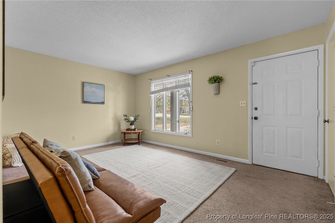 215 Duncan Road Spring Lake, NC 28390 - Photo 3 of 29