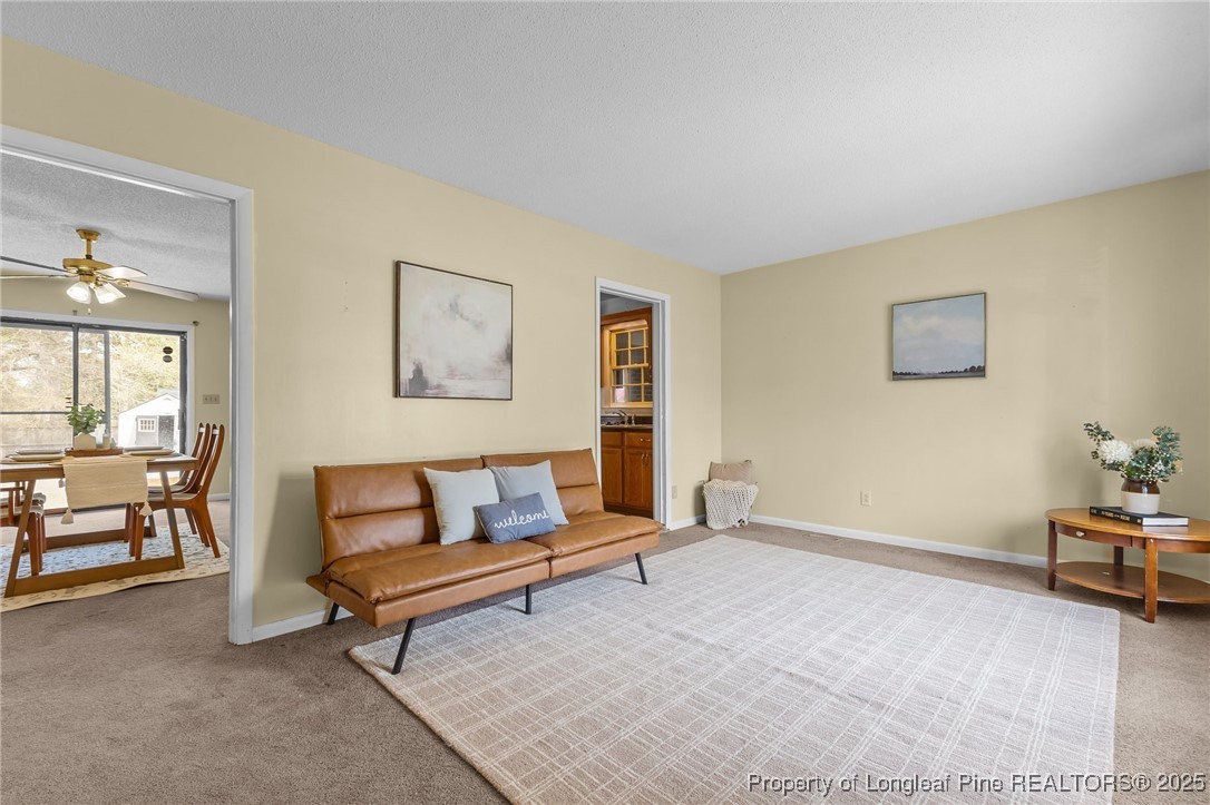 215 Duncan Road Spring Lake, NC 28390 - Photo 4 of 29