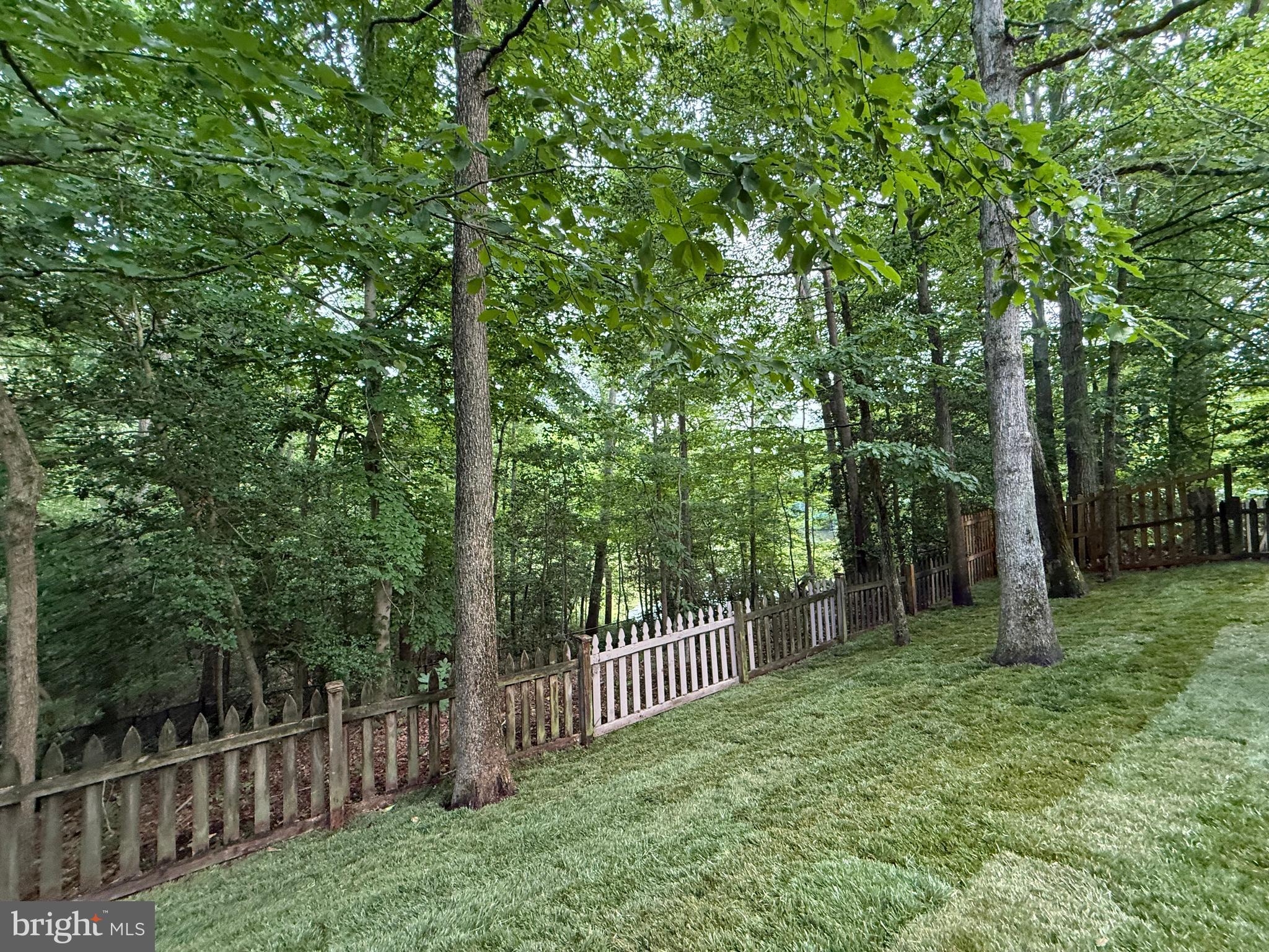 126 Gilbert Court Edgewater, MD 21037 - Photo 8 of 11 Sodded Garden overlooking Trees & Water