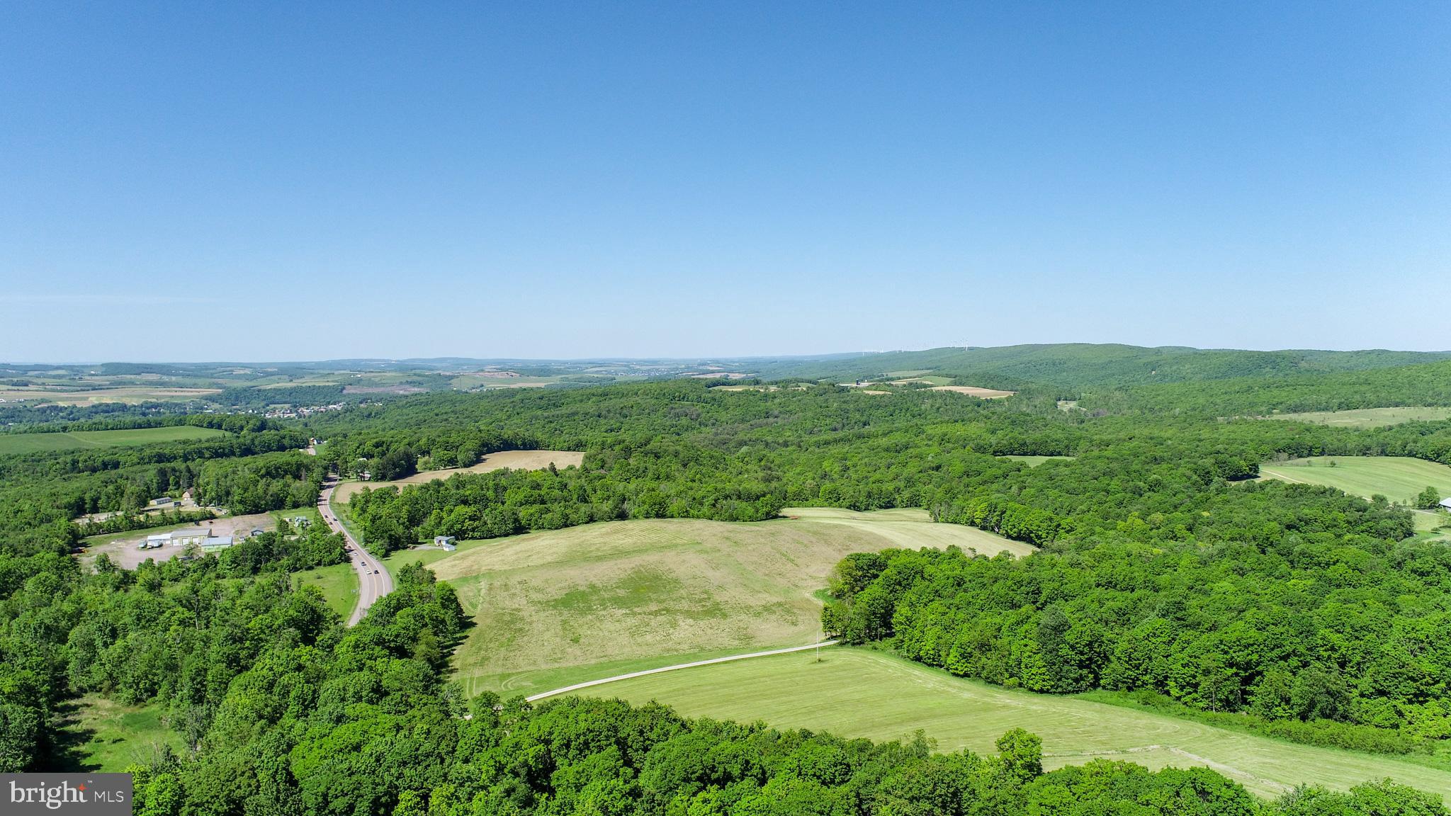 5-acres Chestnut Ridge Road Grantsville, MD 21536 - Photo 9 of 16