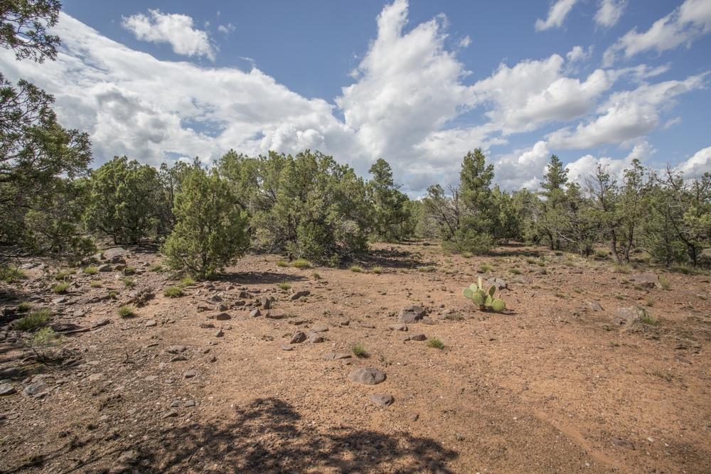 1200 West Airport Road Payson, AZ 85541 - Photo 26 of 50