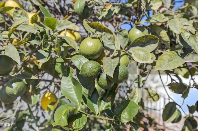 $5,500 | 622 South Evergreen Drive, Ventura, CA 93003