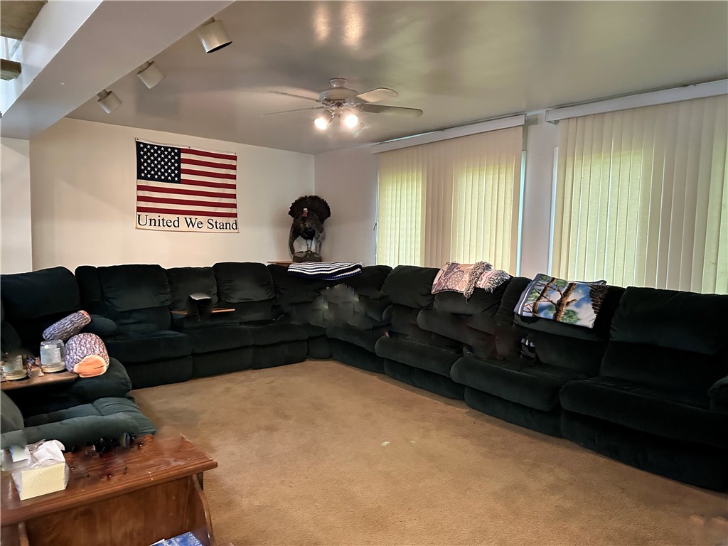 1123 Herrick Hollow Road Tompkins, NY 13839 - Photo 17 of 37