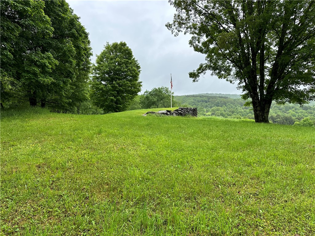 1123 Herrick Hollow Road Tompkins, NY 13839 - Photo 31 of 37