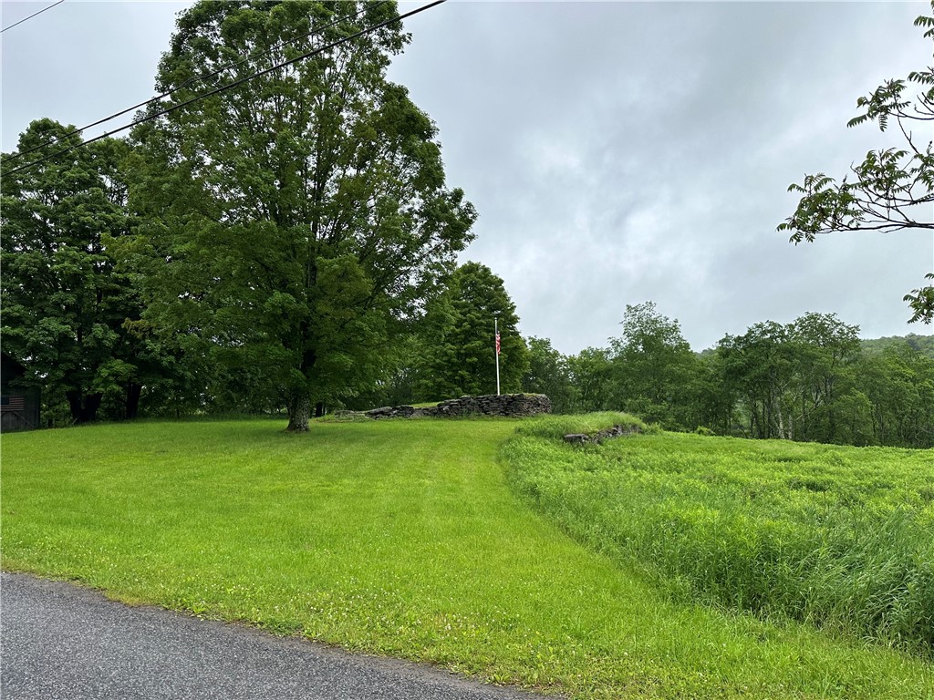 1123 Herrick Hollow Road Tompkins, NY 13839 - Photo 33 of 37