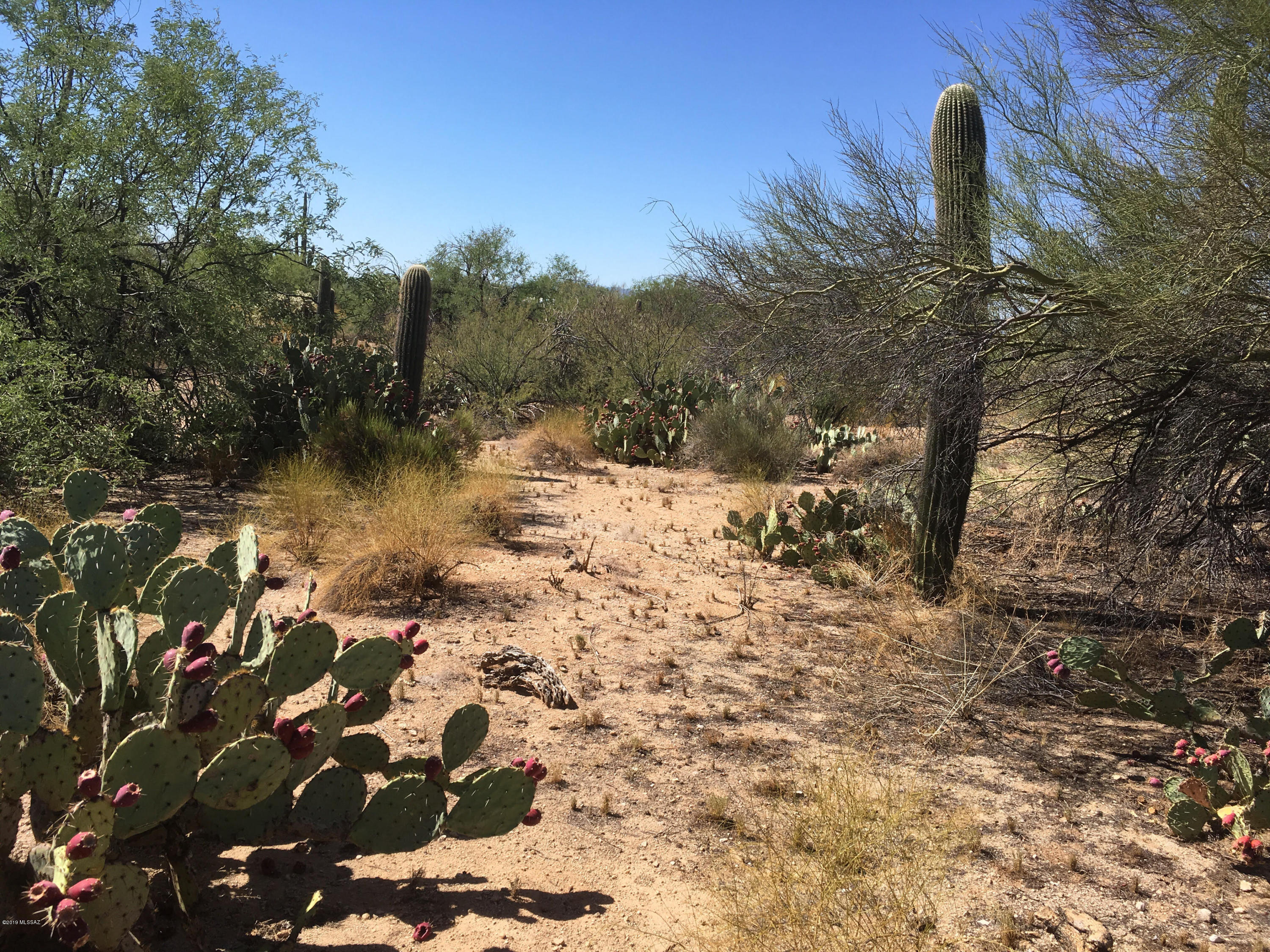 2575 West Sunkist Road Tucson, AZ 85755 - Photo 1 of 5