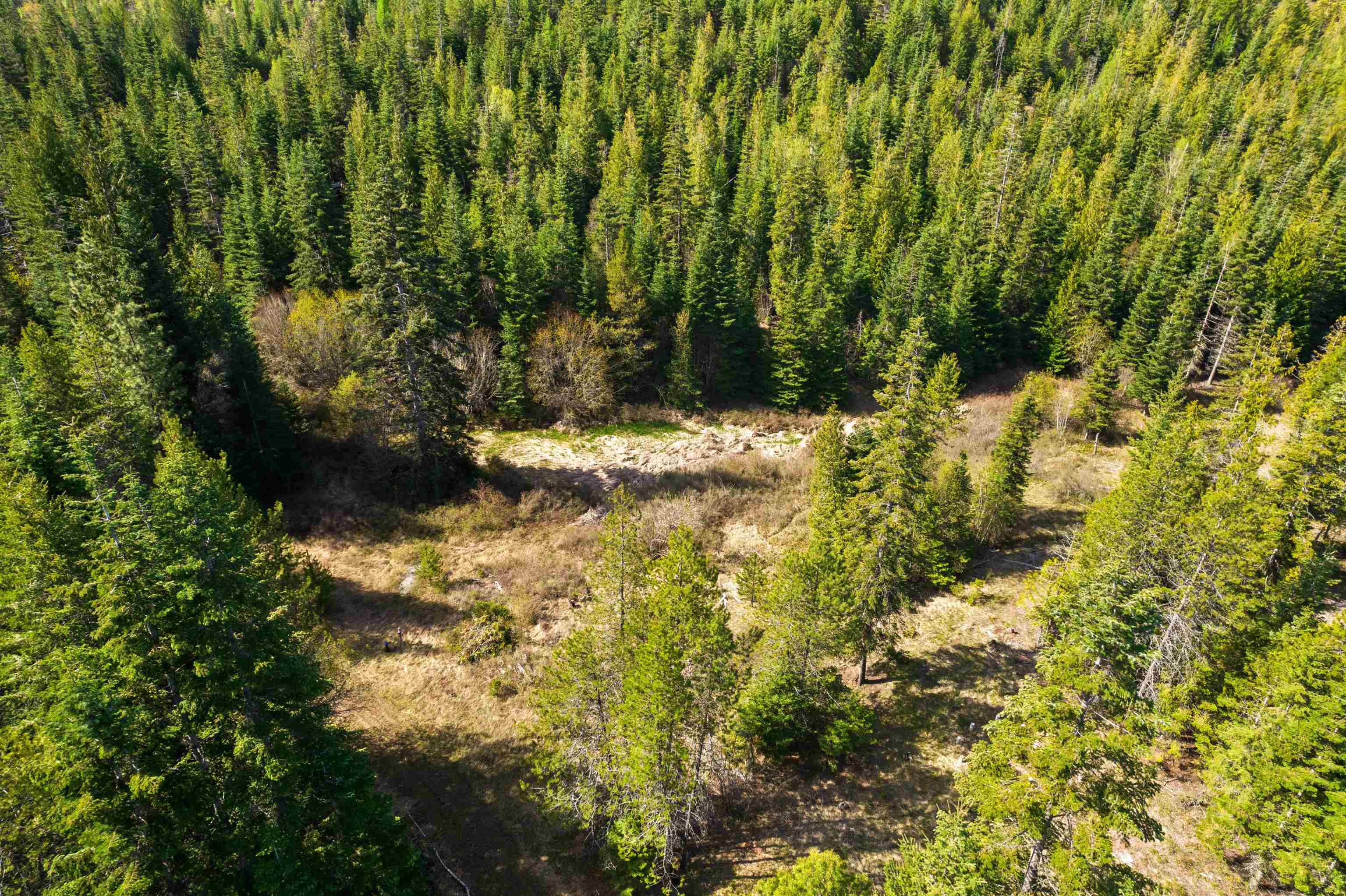 2642 B Mud Lake Road Chewelah, WA 99109 - Photo 11 of 23