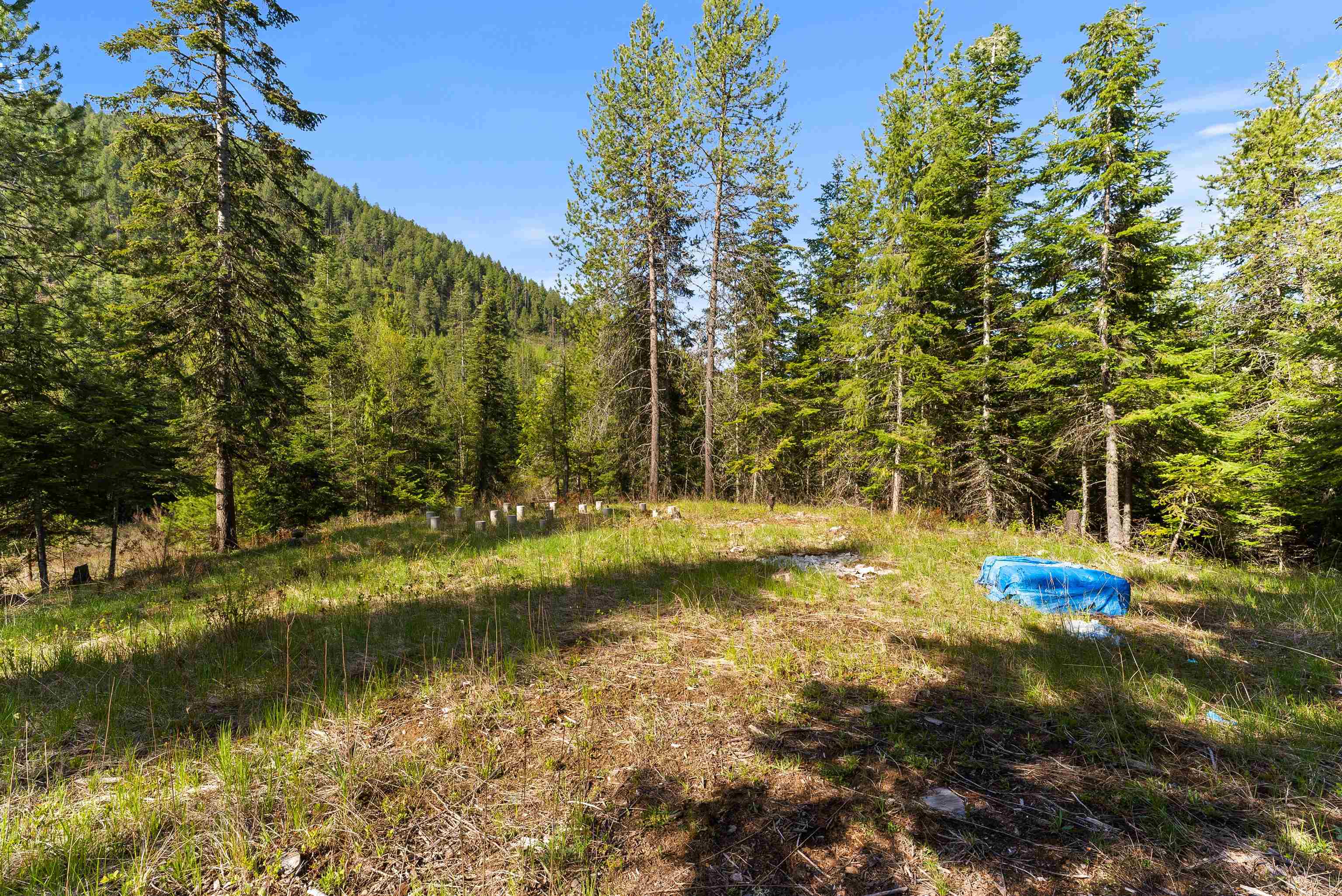 2642 B Mud Lake Road Chewelah, WA 99109 - Photo 12 of 23