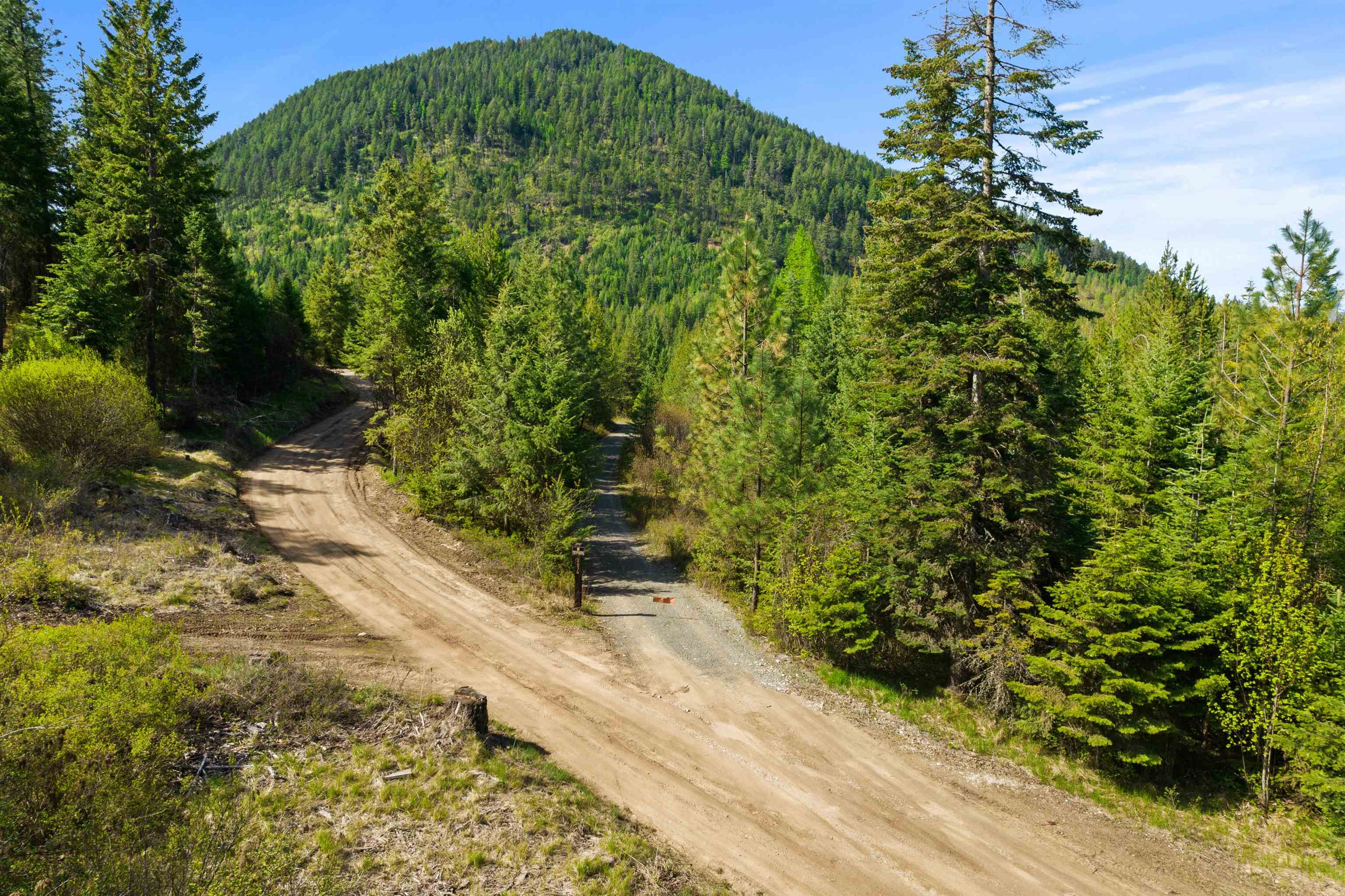 2642 B Mud Lake Road Chewelah, WA 99109 - Photo 16 of 23