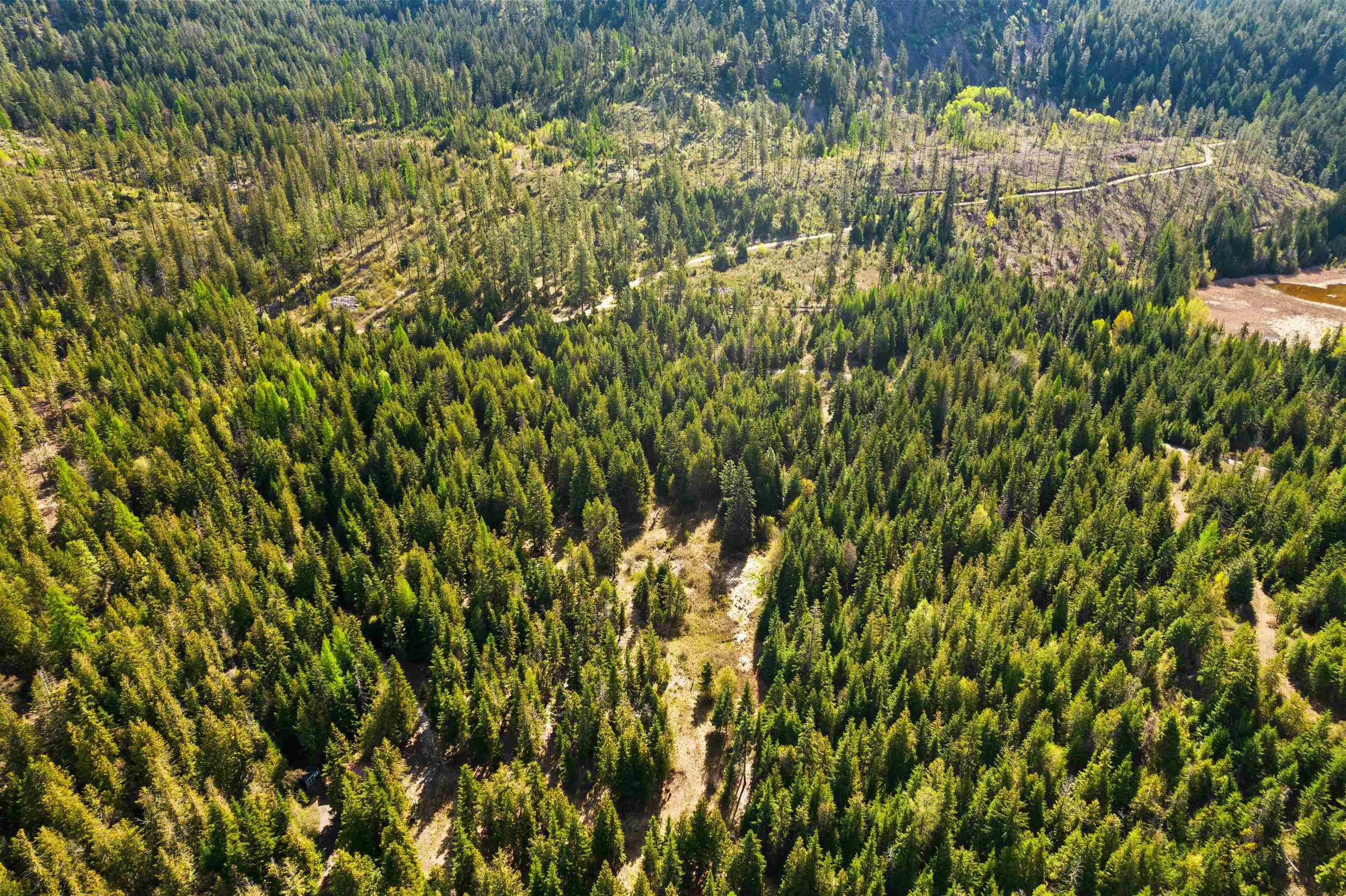 2642 B Mud Lake Road Chewelah, WA 99109 - Photo 18 of 23