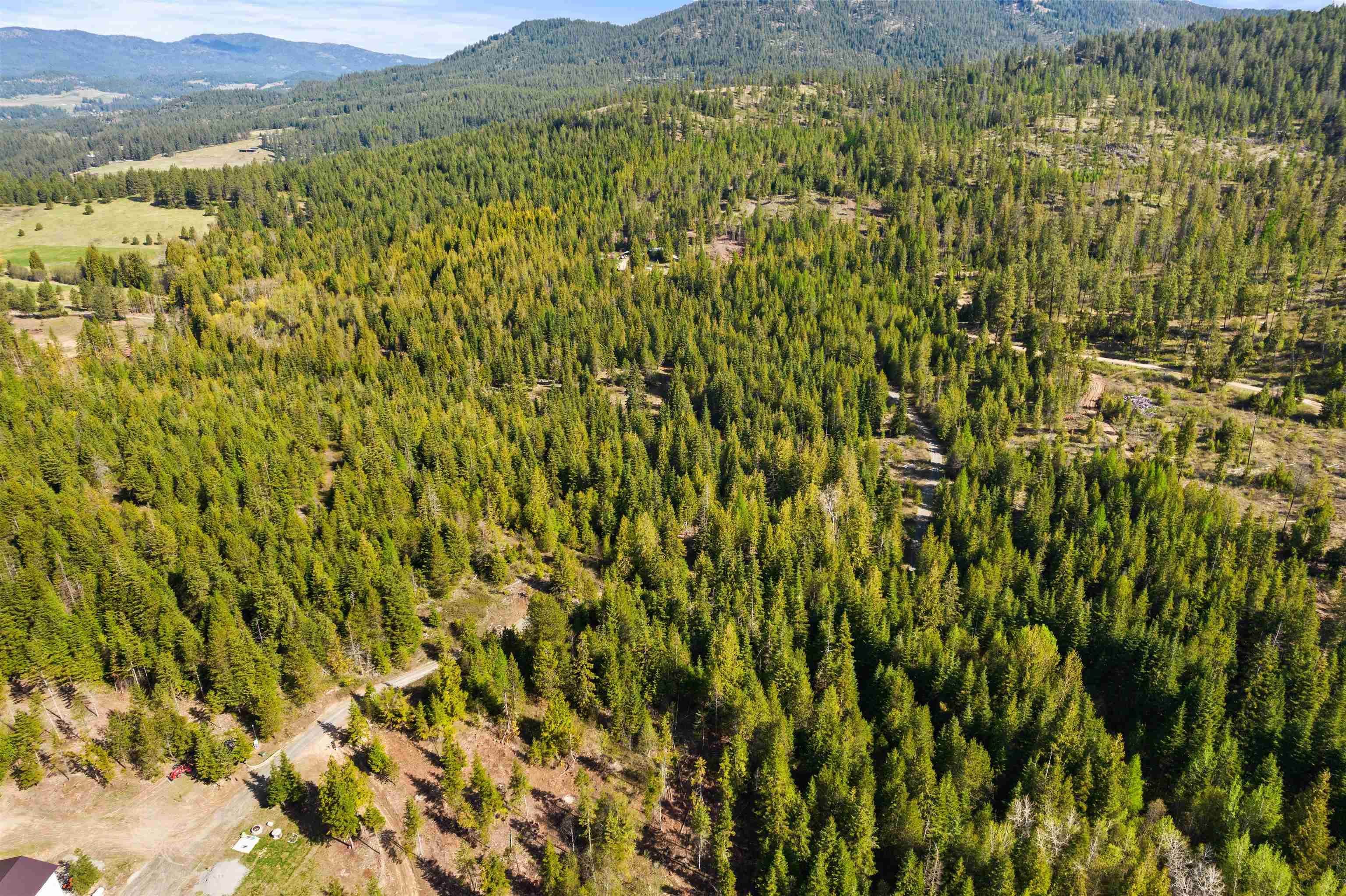 2642 B Mud Lake Road Chewelah, WA 99109 - Photo 19 of 23