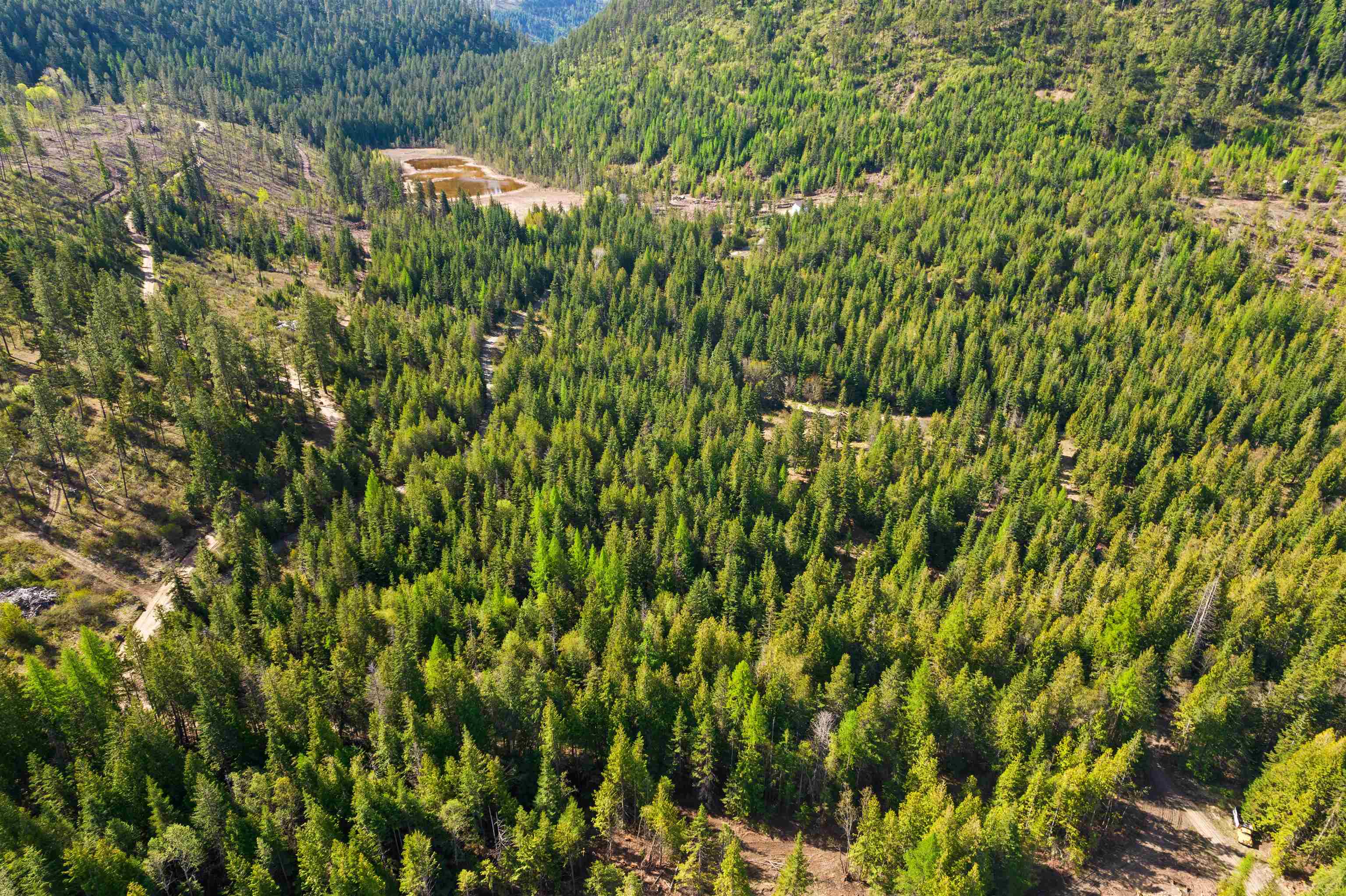 2642 B Mud Lake Road Chewelah, WA 99109 - Photo 20 of 23