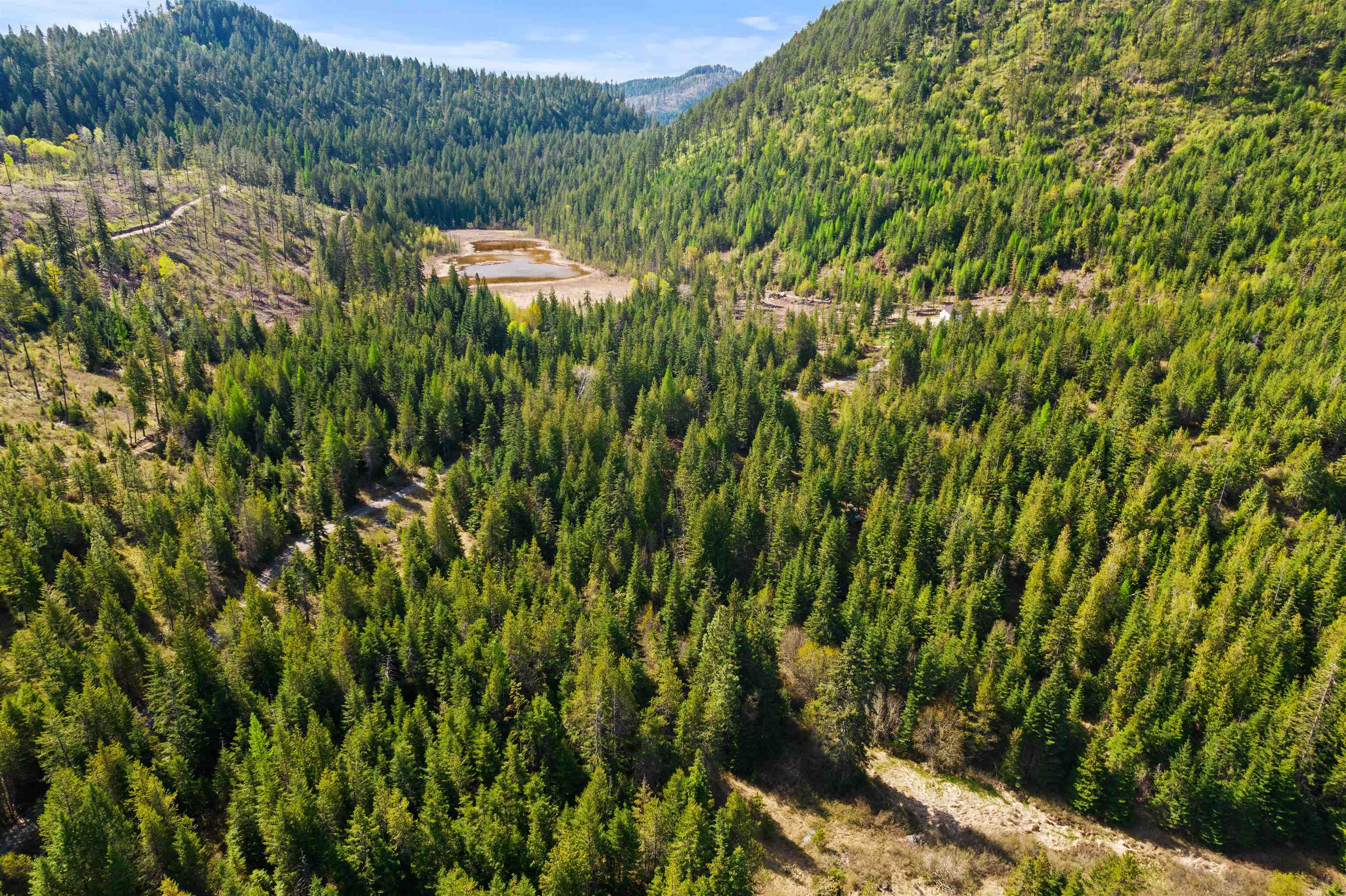 2642 B Mud Lake Road Chewelah, WA 99109 - Photo 2 of 23