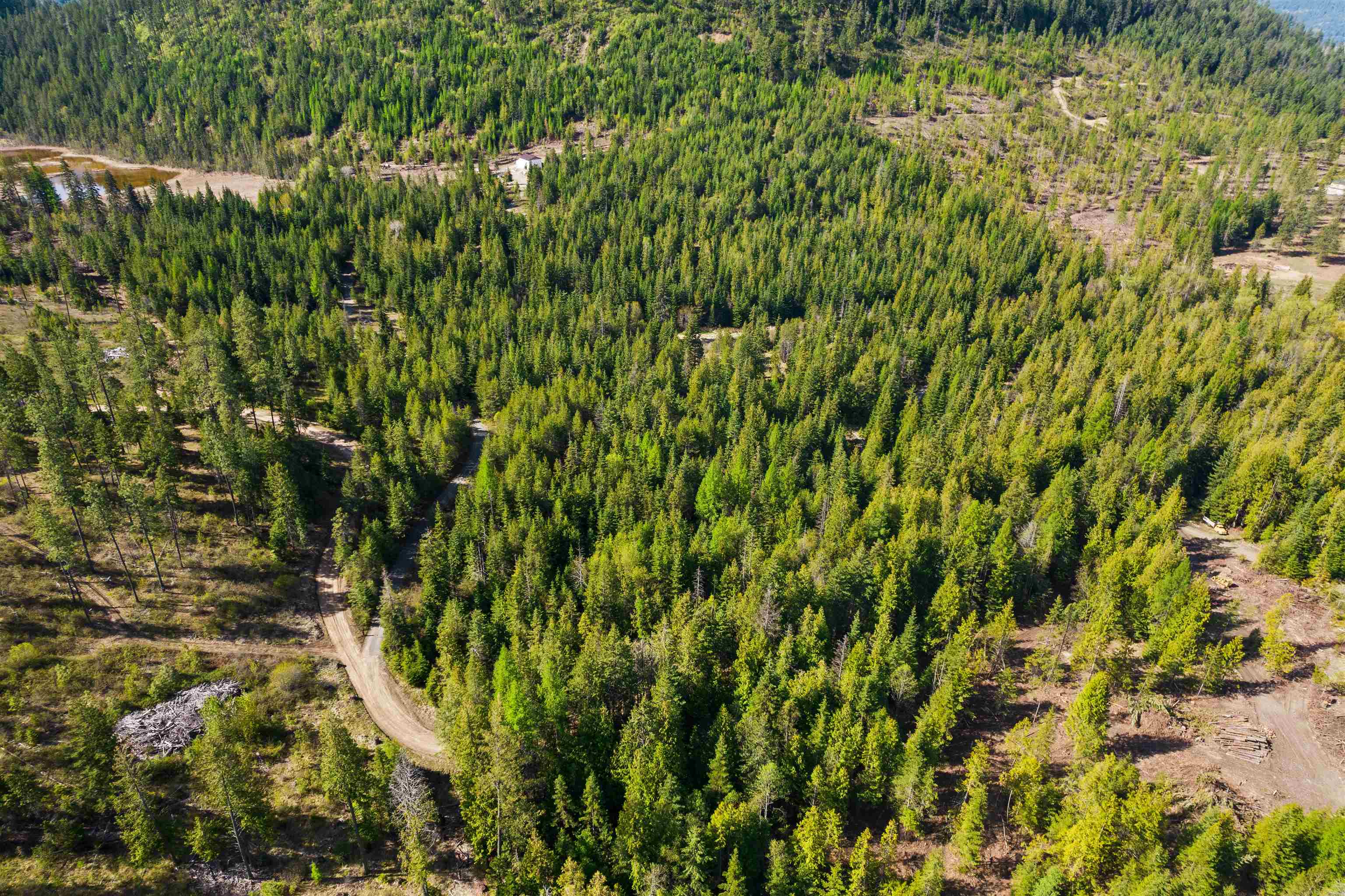 2642 B Mud Lake Road Chewelah, WA 99109 - Photo 21 of 23