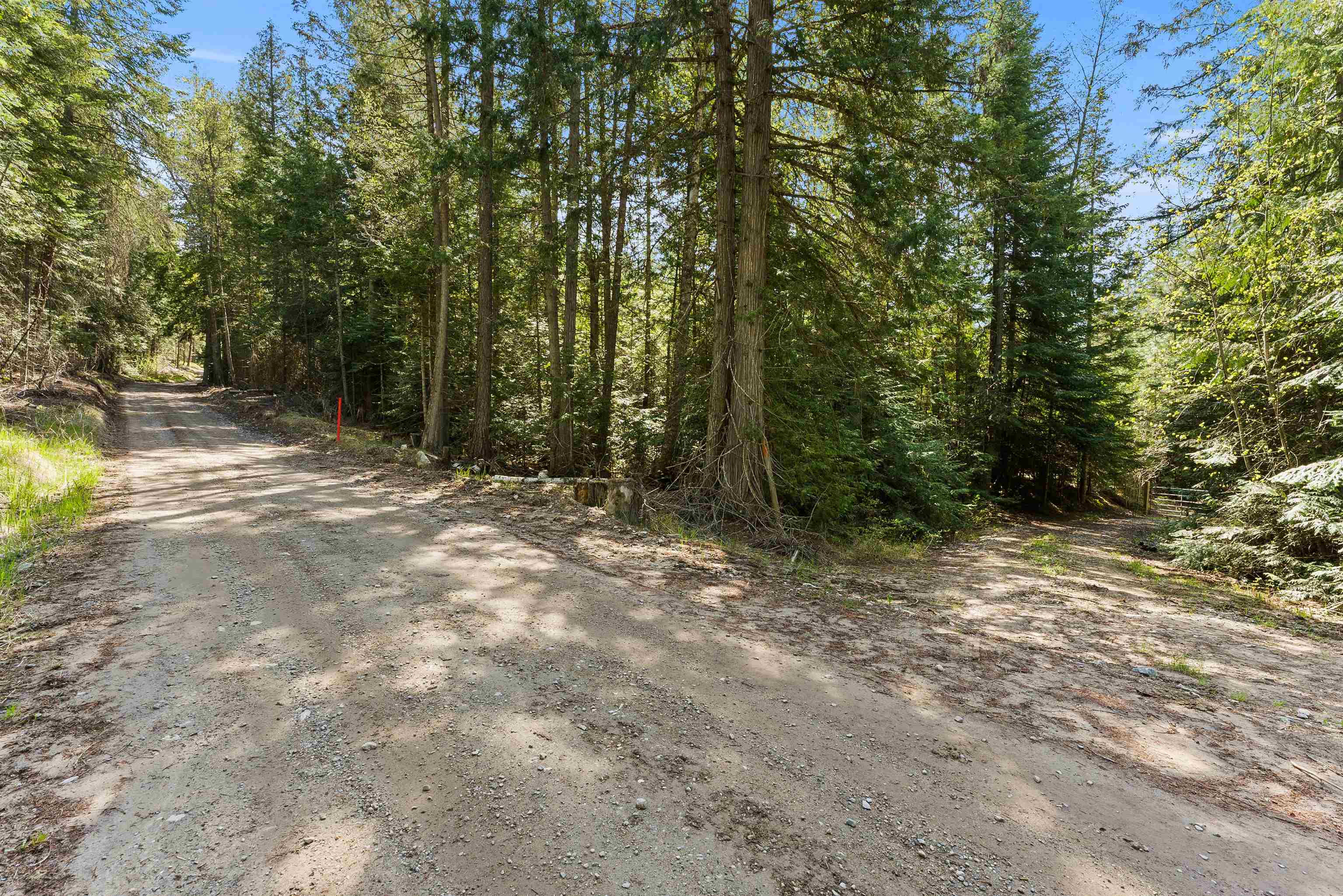 2642 B Mud Lake Road Chewelah, WA 99109 - Photo 3 of 23