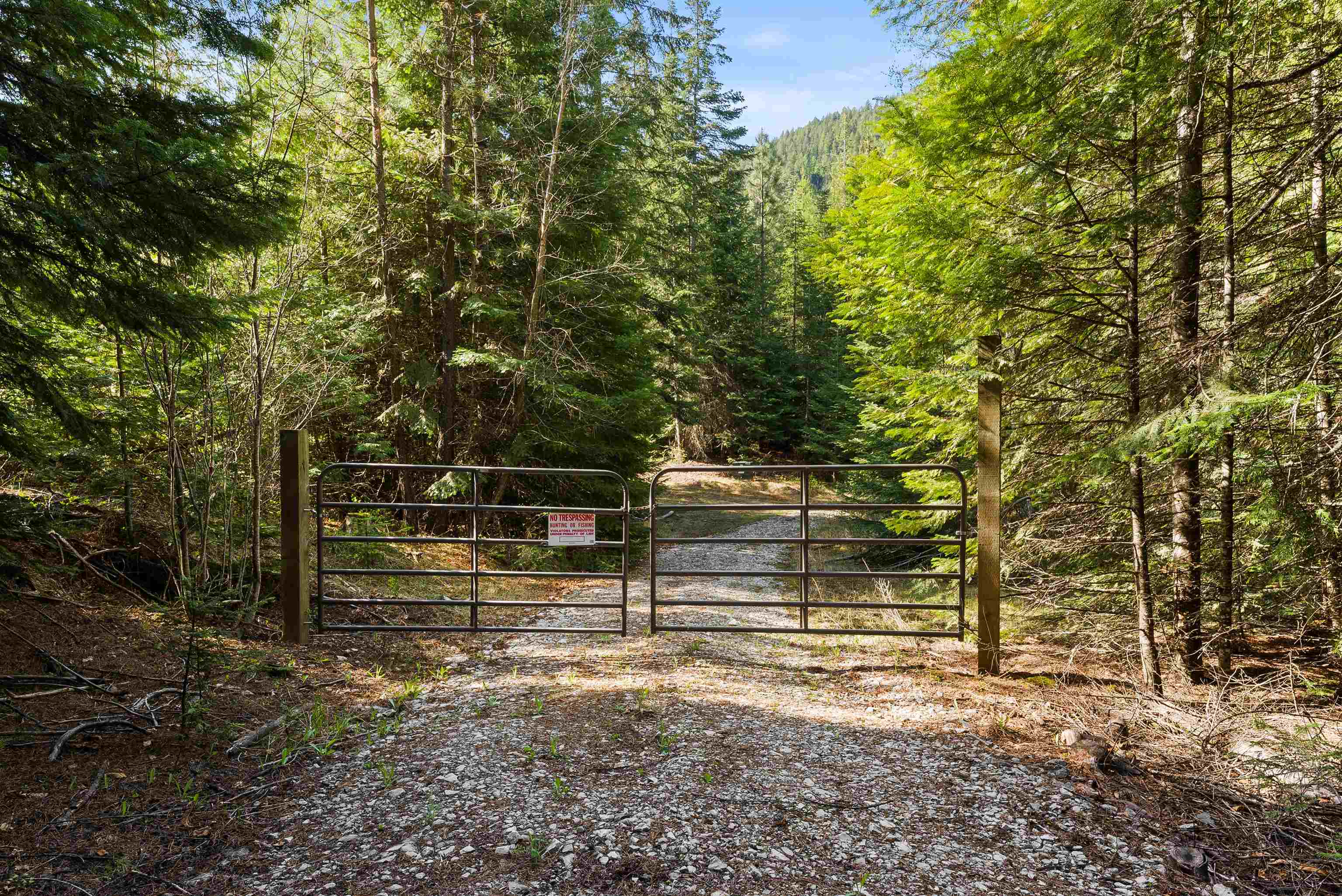 2642 B Mud Lake Road Chewelah, WA 99109 - Photo 4 of 23