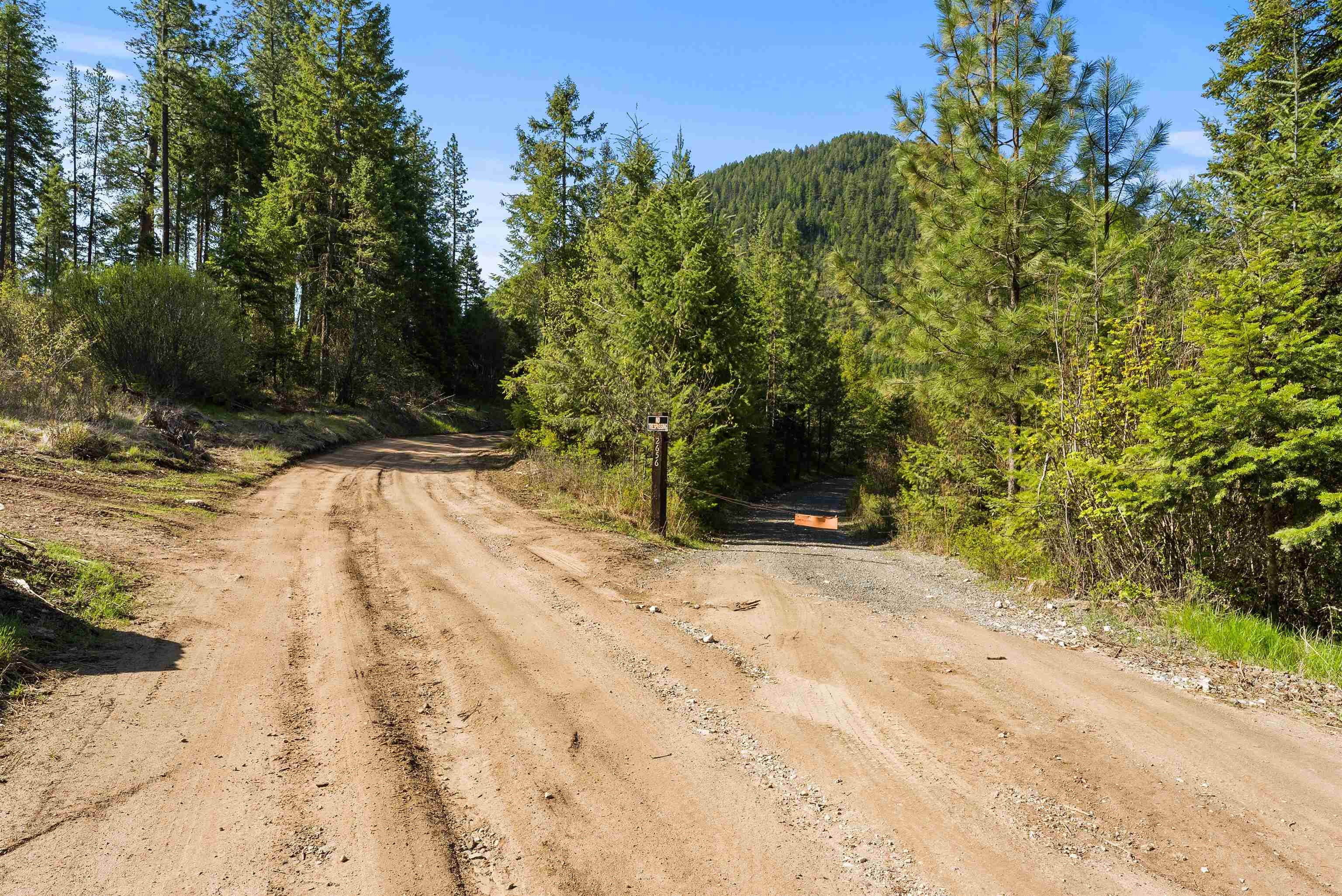 2642 B Mud Lake Road Chewelah, WA 99109 - Photo 5 of 23