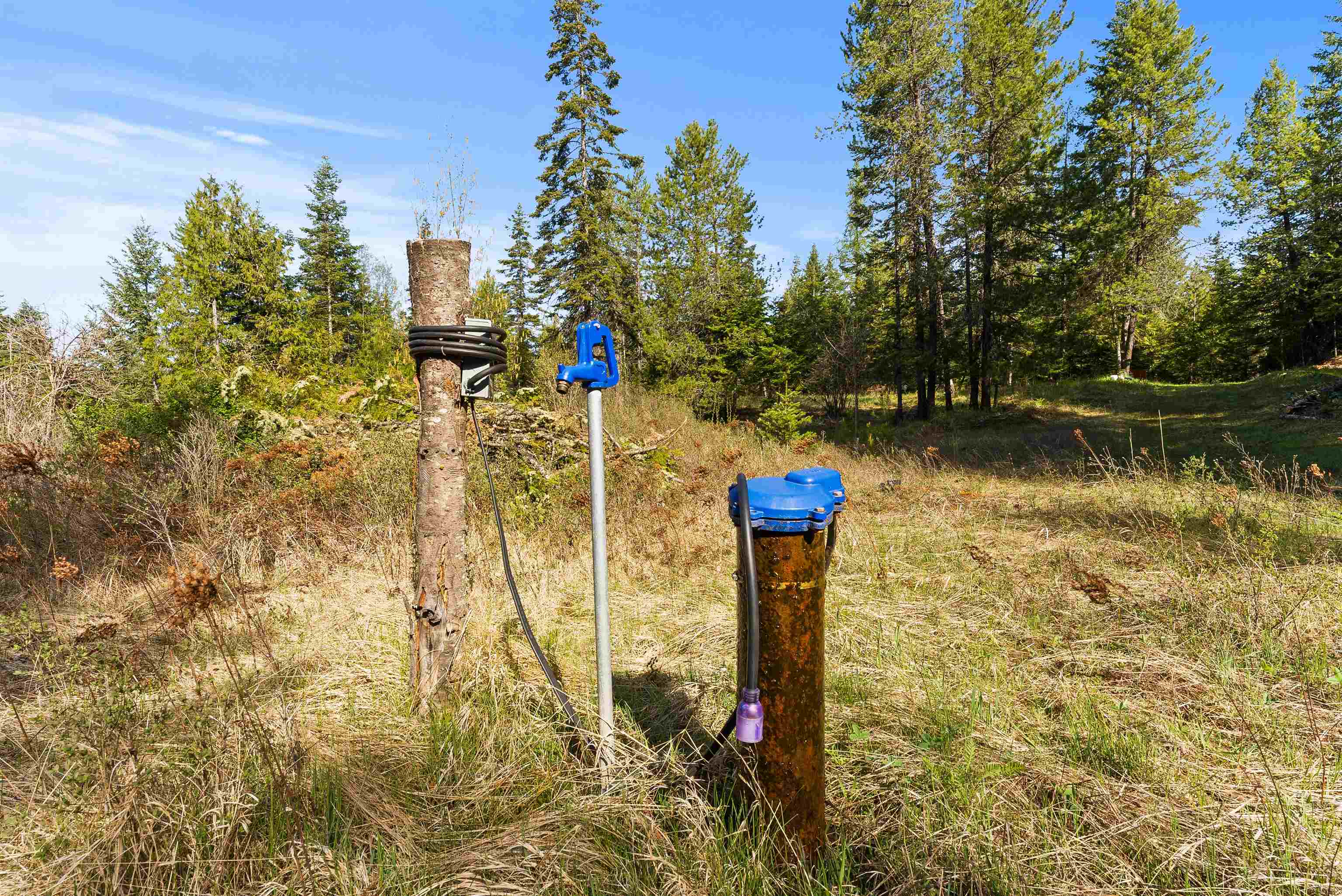 2642 B Mud Lake Road Chewelah, WA 99109 - Photo 6 of 23