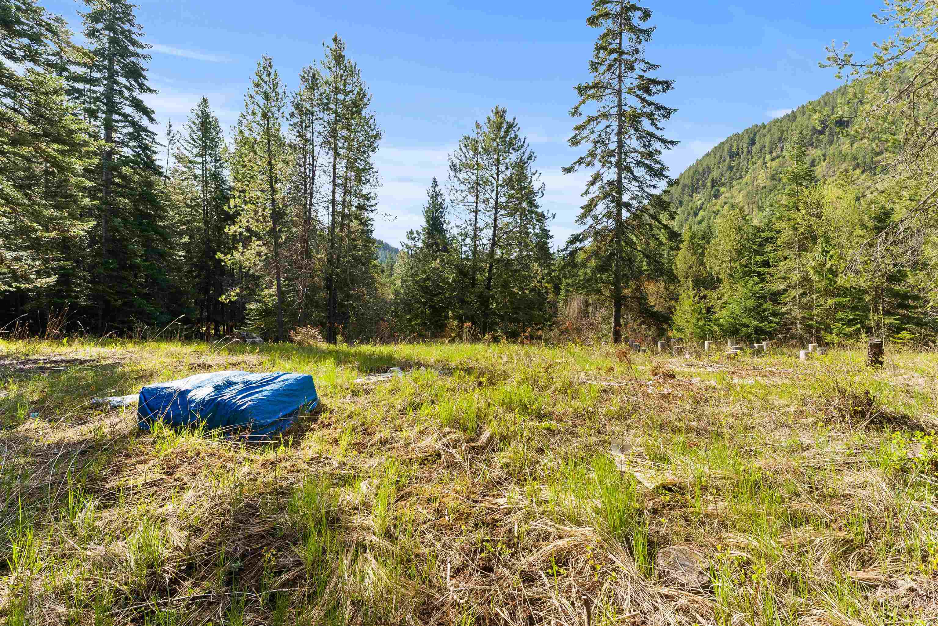 2642 B Mud Lake Road Chewelah, WA 99109 - Photo 9 of 23