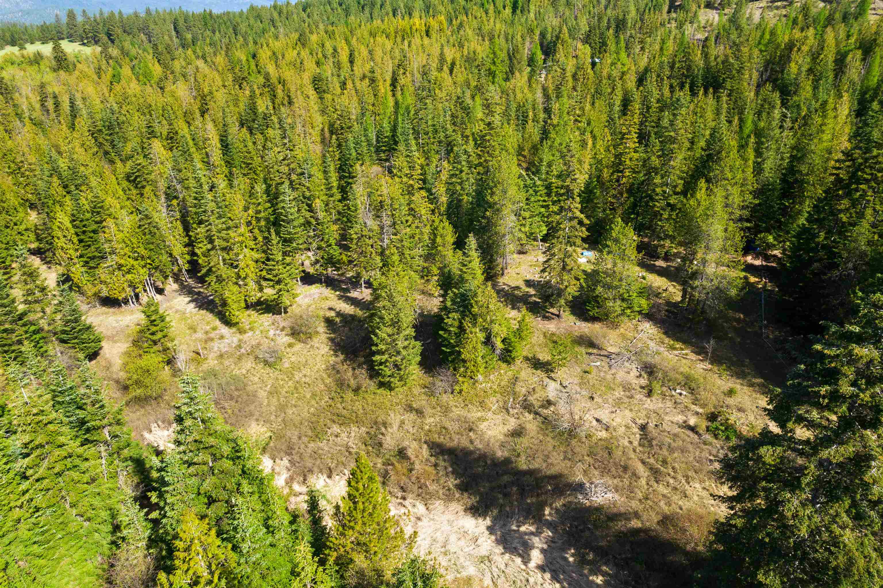 2642 B Mud Lake Road Chewelah, WA 99109 - Photo 10 of 23