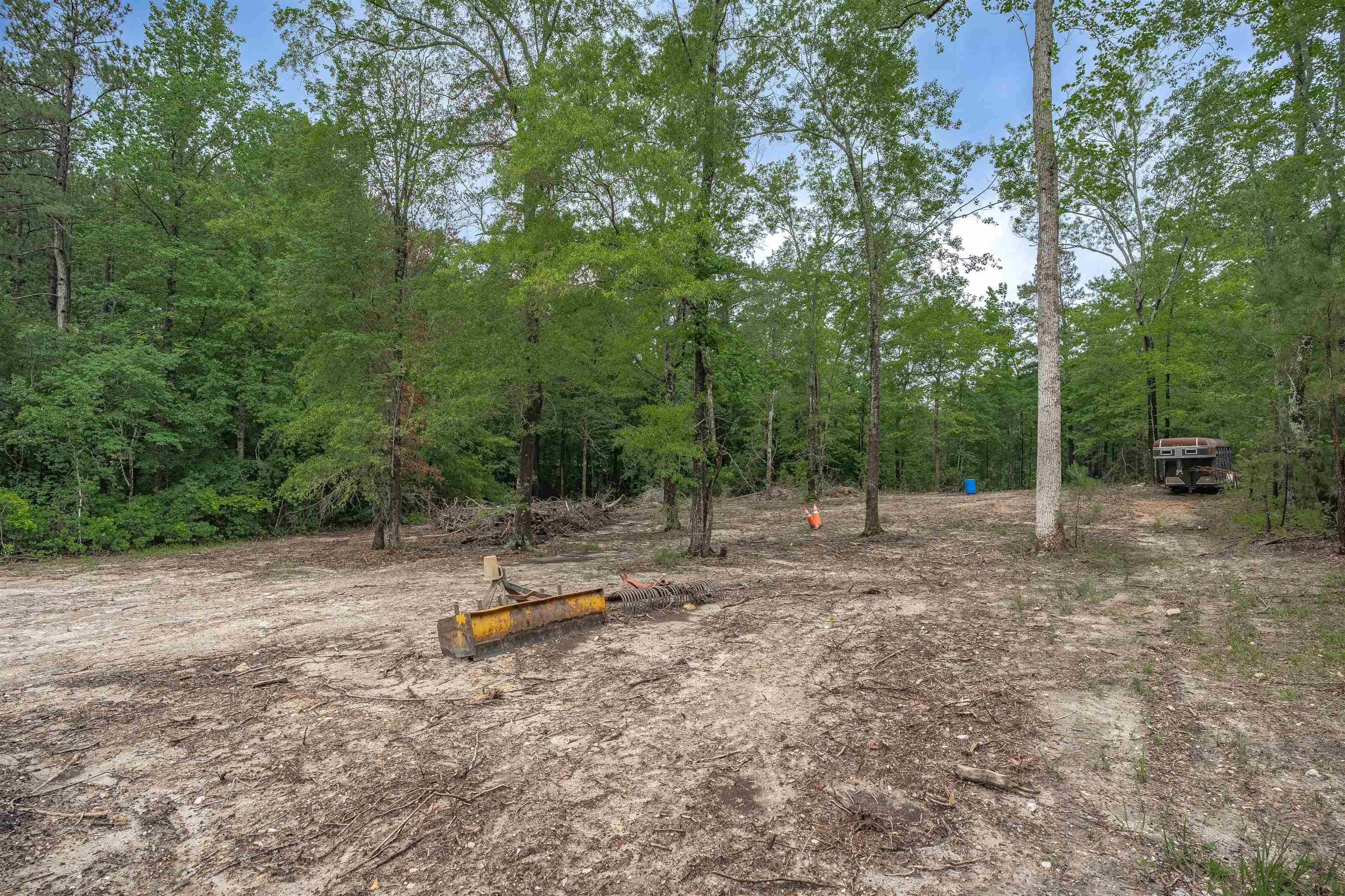 565 Portia Road Blythewood, SC 29016 - Photo 54 of 70