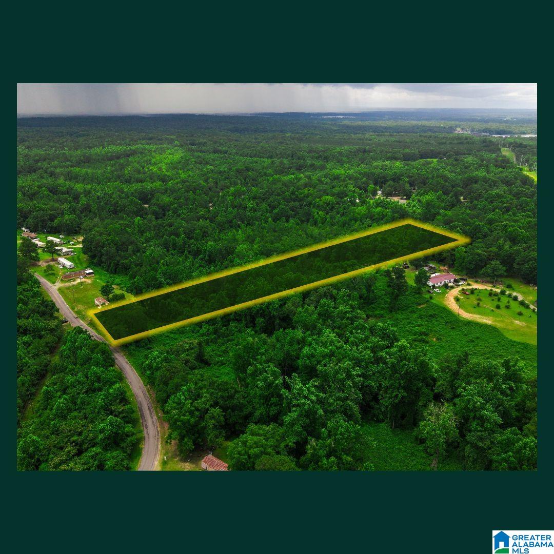 0 Copeland Road Wetumpka, AL 36092 - Photo 8 of 9