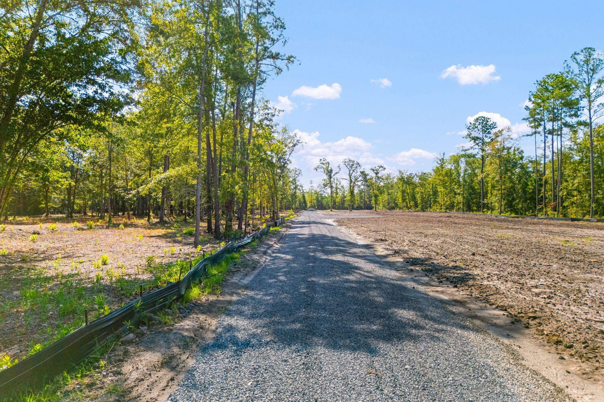 0 Raptor Trail, Unit LOTS 14 Ladson, SC 29456 - Photo 4 of 23 0-Limehouse-6