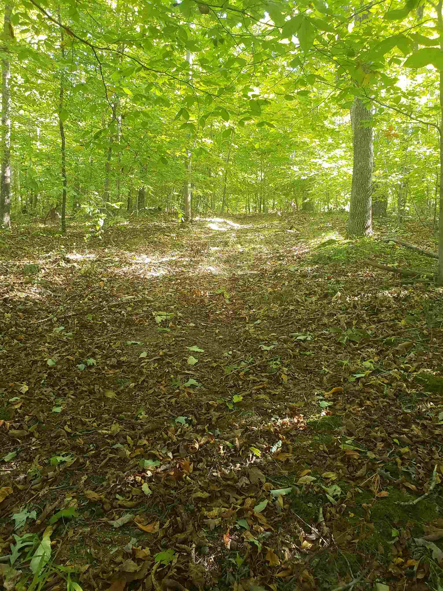 Lee Turner Road Columbus, IN 47201 - Photo 22 of 34